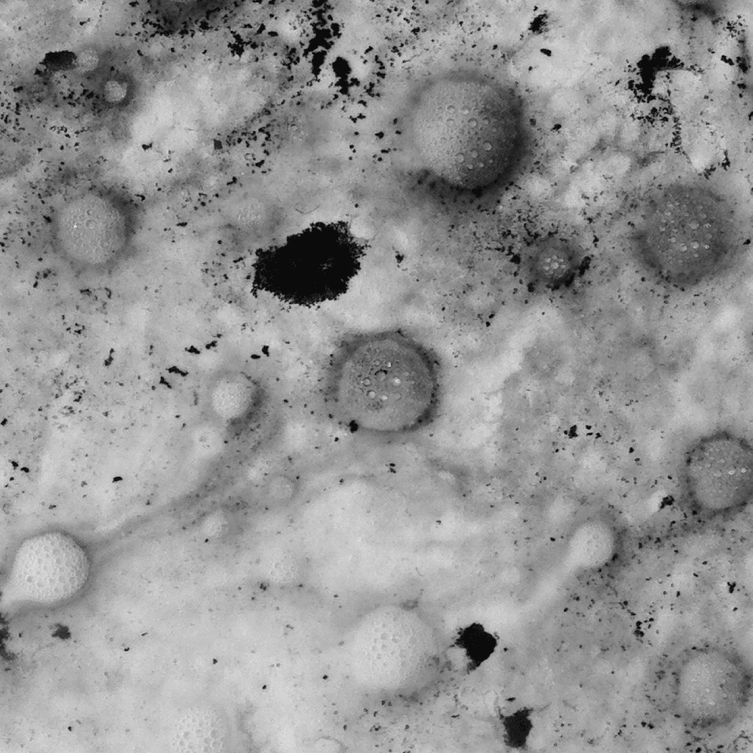 Fotofonty & Judith Alder "Once in a Universe" Cyanotype workshop