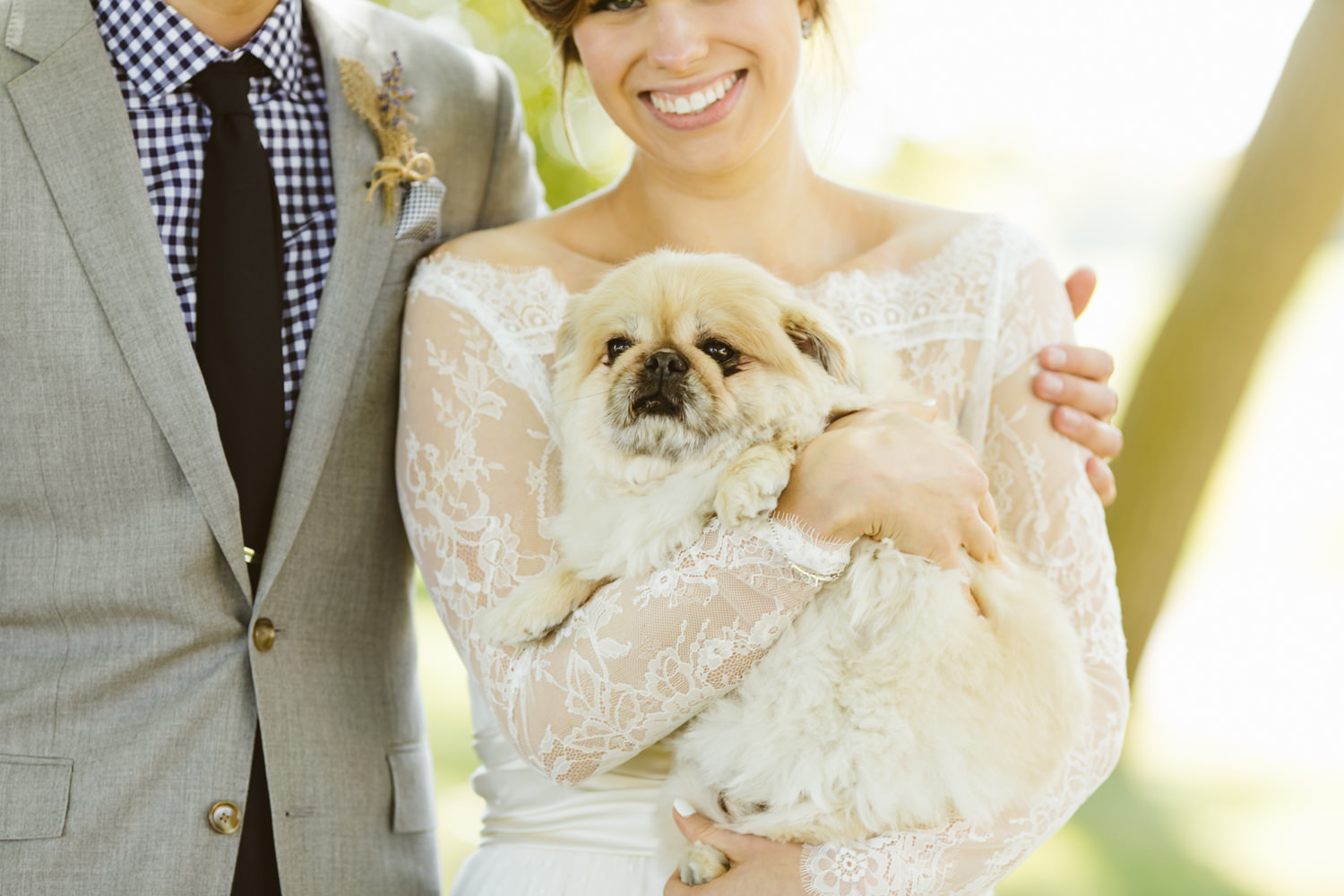Bride-groom-puppy-dog