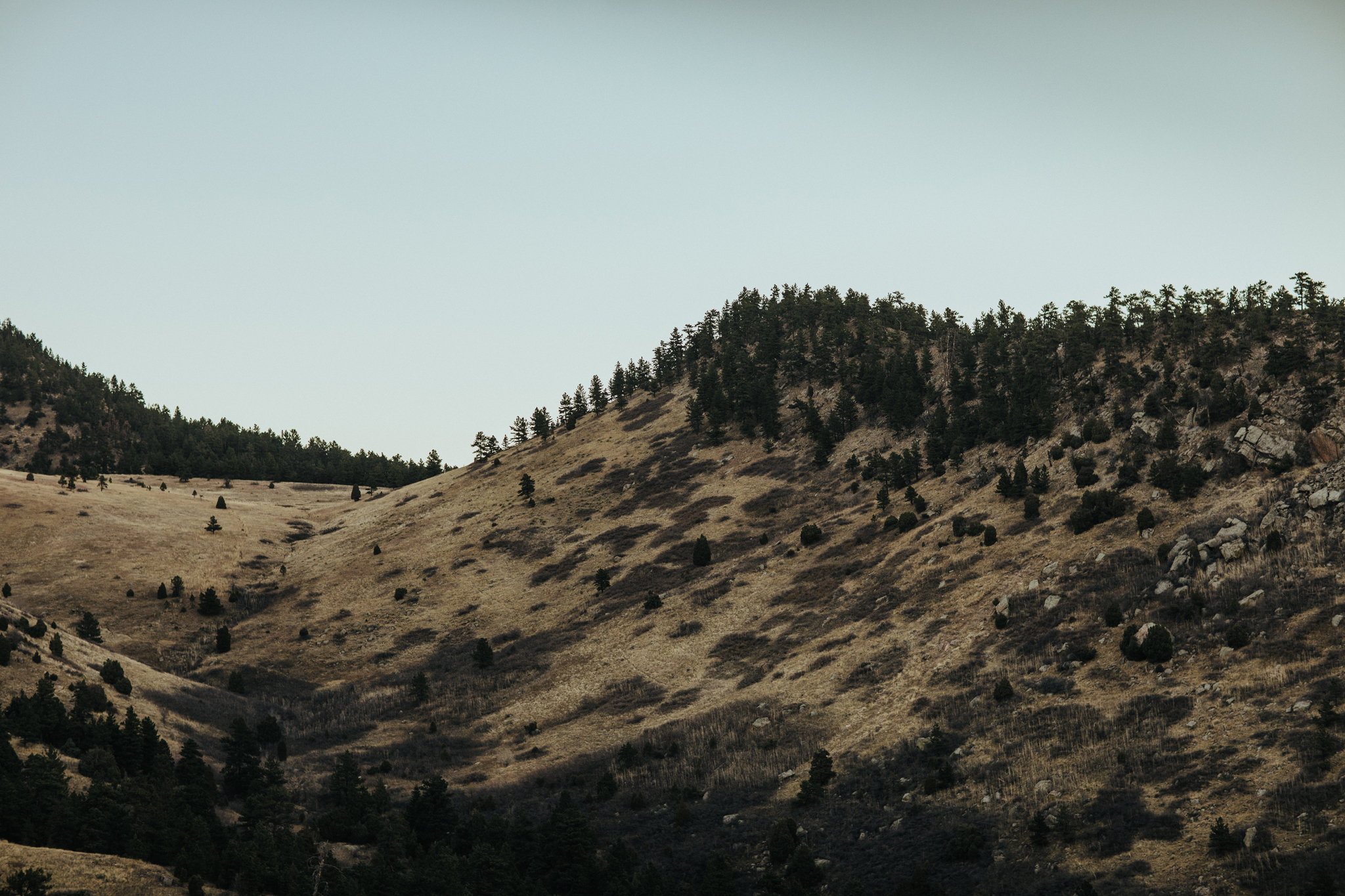 Colorado-Mountain-Canyon