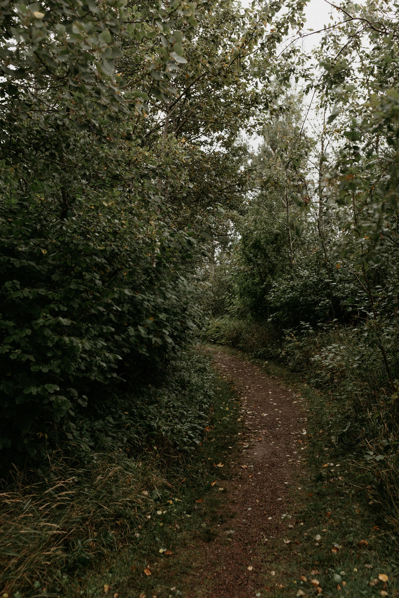 02-Gooseberry-Falls-Wedding-Camping-MN.jpg