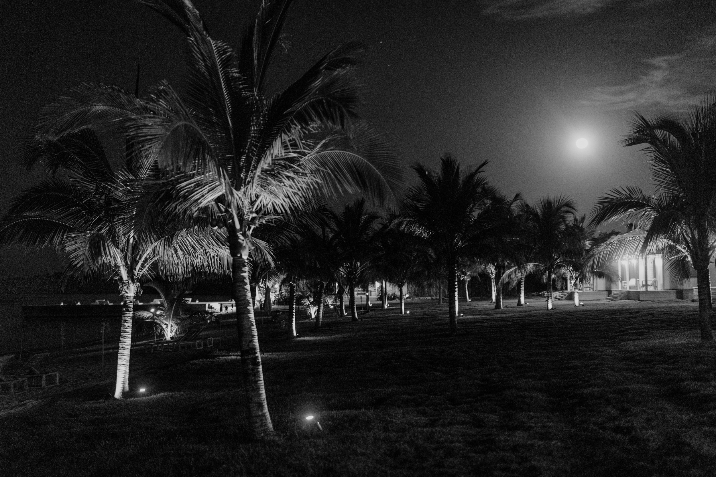 Harbour-Island-Ocean-View-Club-Wedding-Photographer_21.jpg