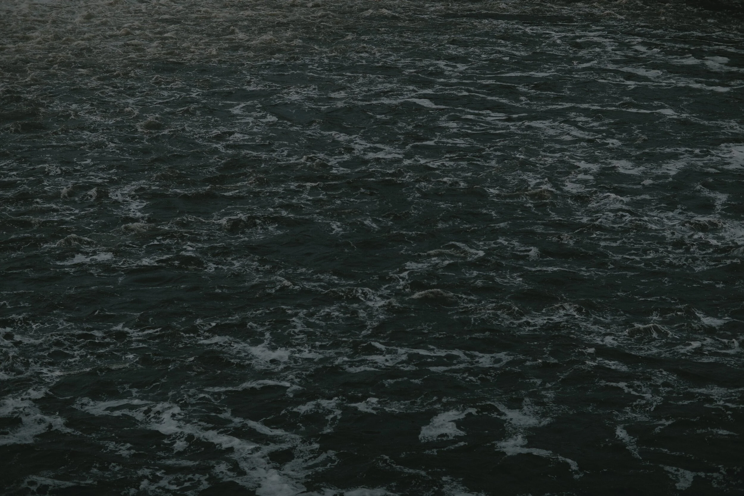 FM9A9480_web_overlay.jpg
