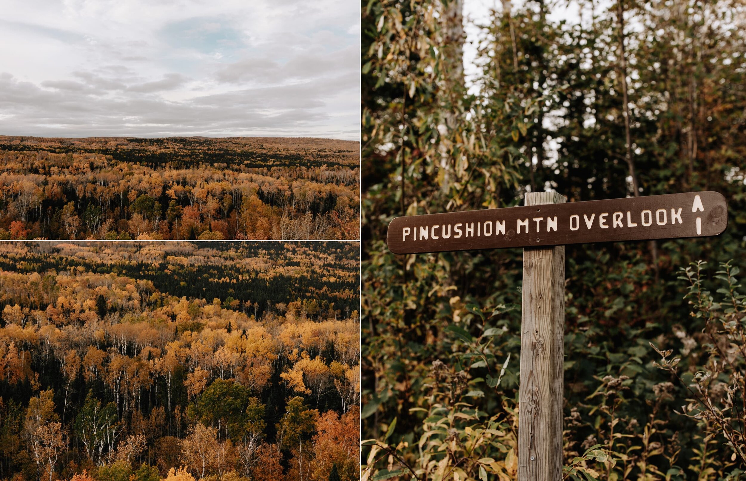 J_Olson_Weddings_14_overlook_landscape_Mountain_Pincushion.jpg