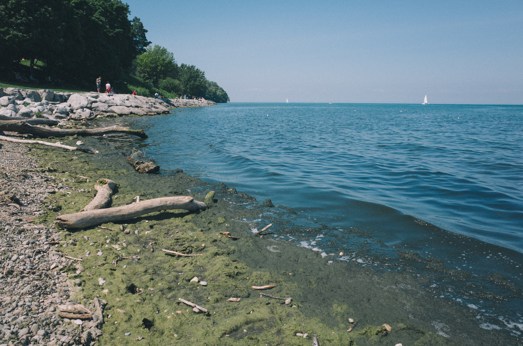 20130817-GR-0099.jpg