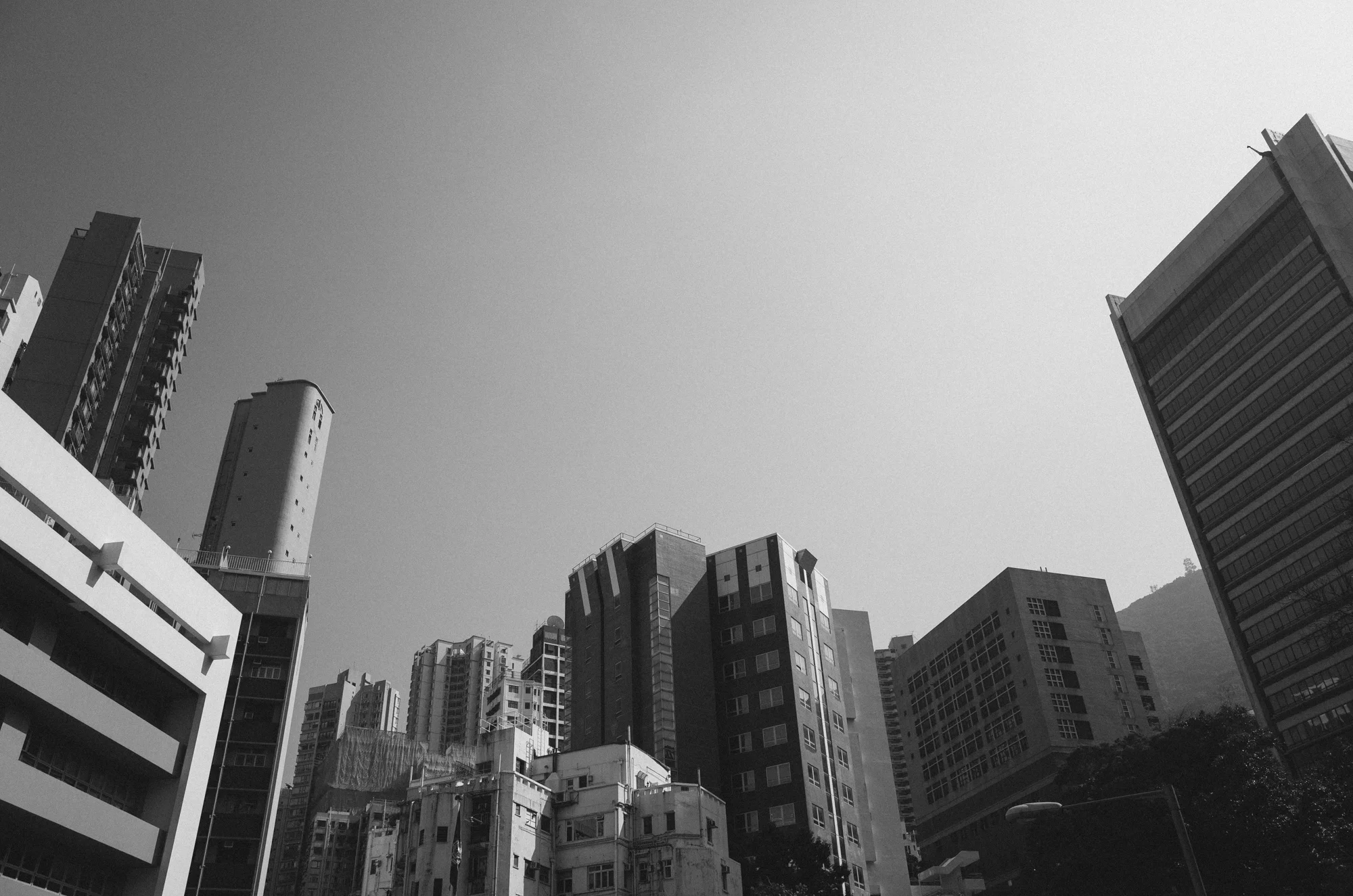 R0012993.jpg