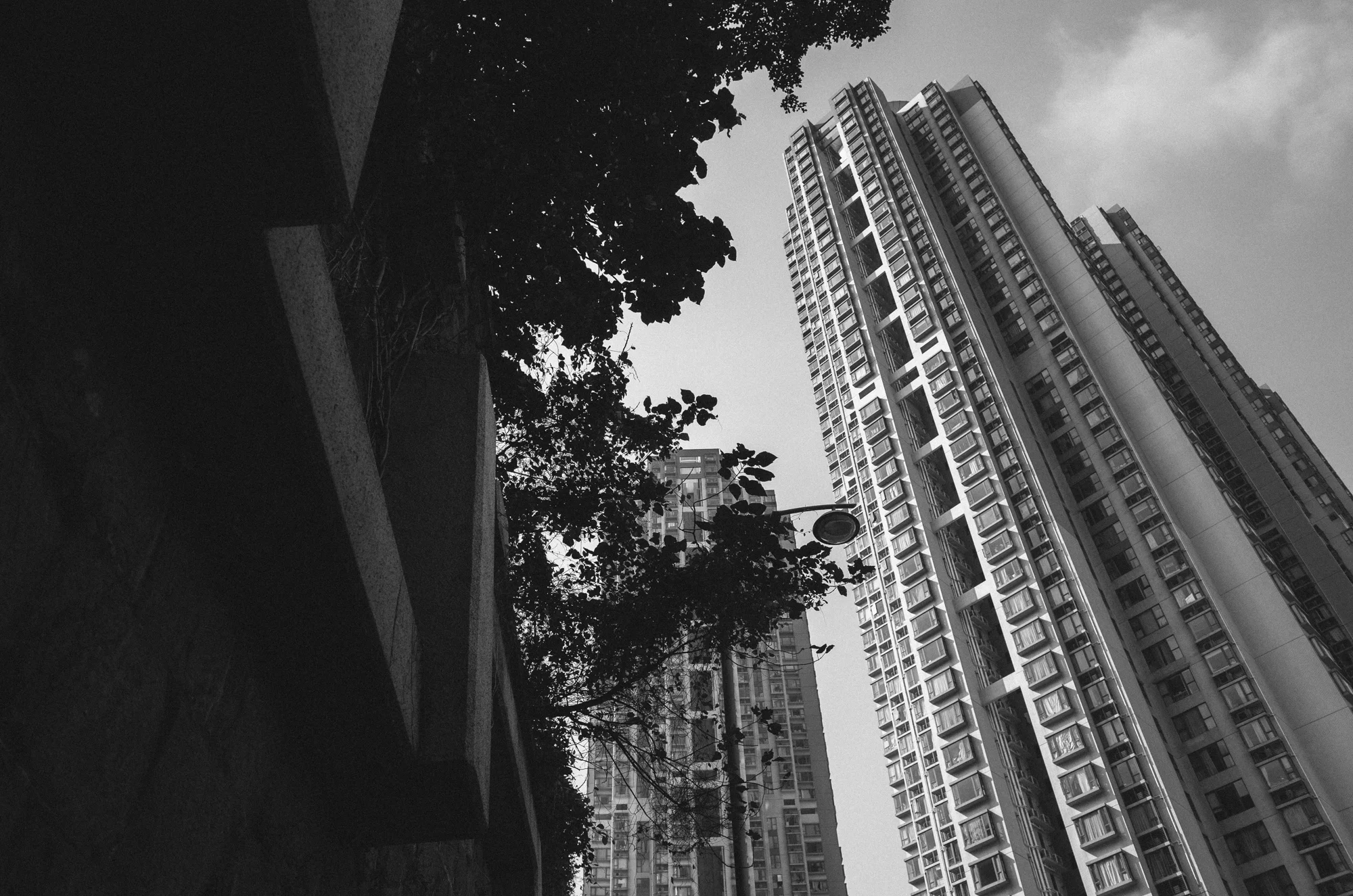 R0013036.jpg
