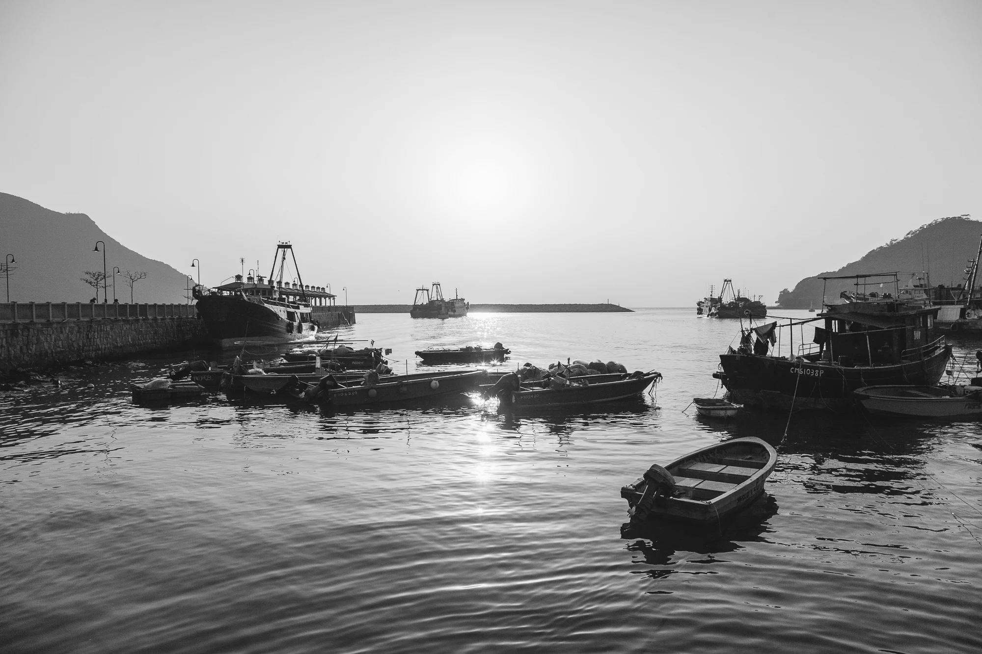 IMG_5683.jpg