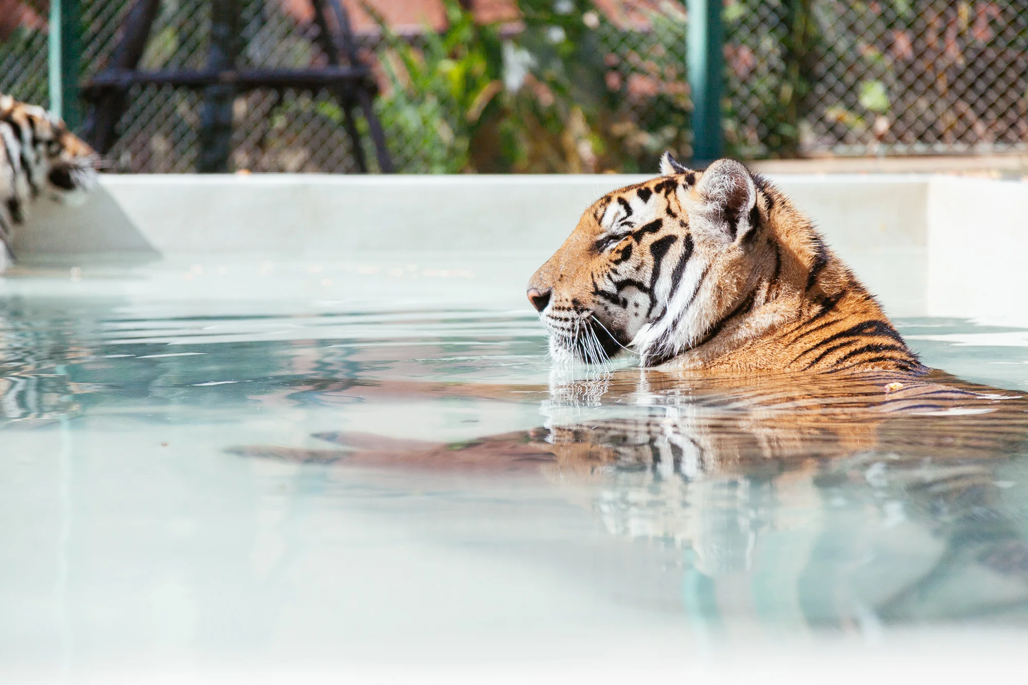Thailand1-017.jpg