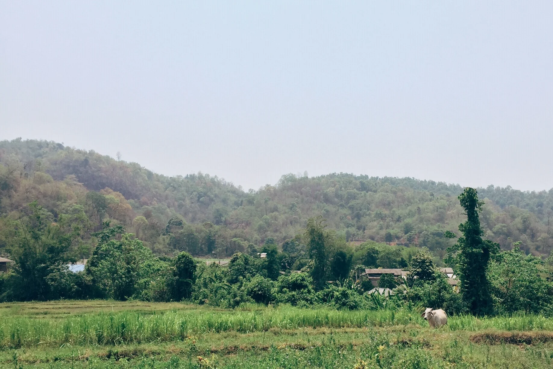 Chiang Mai, Thailand