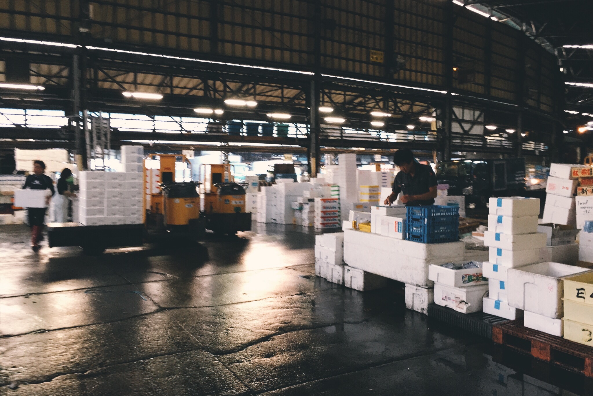 Tsukiji Fish Market, Tokyo