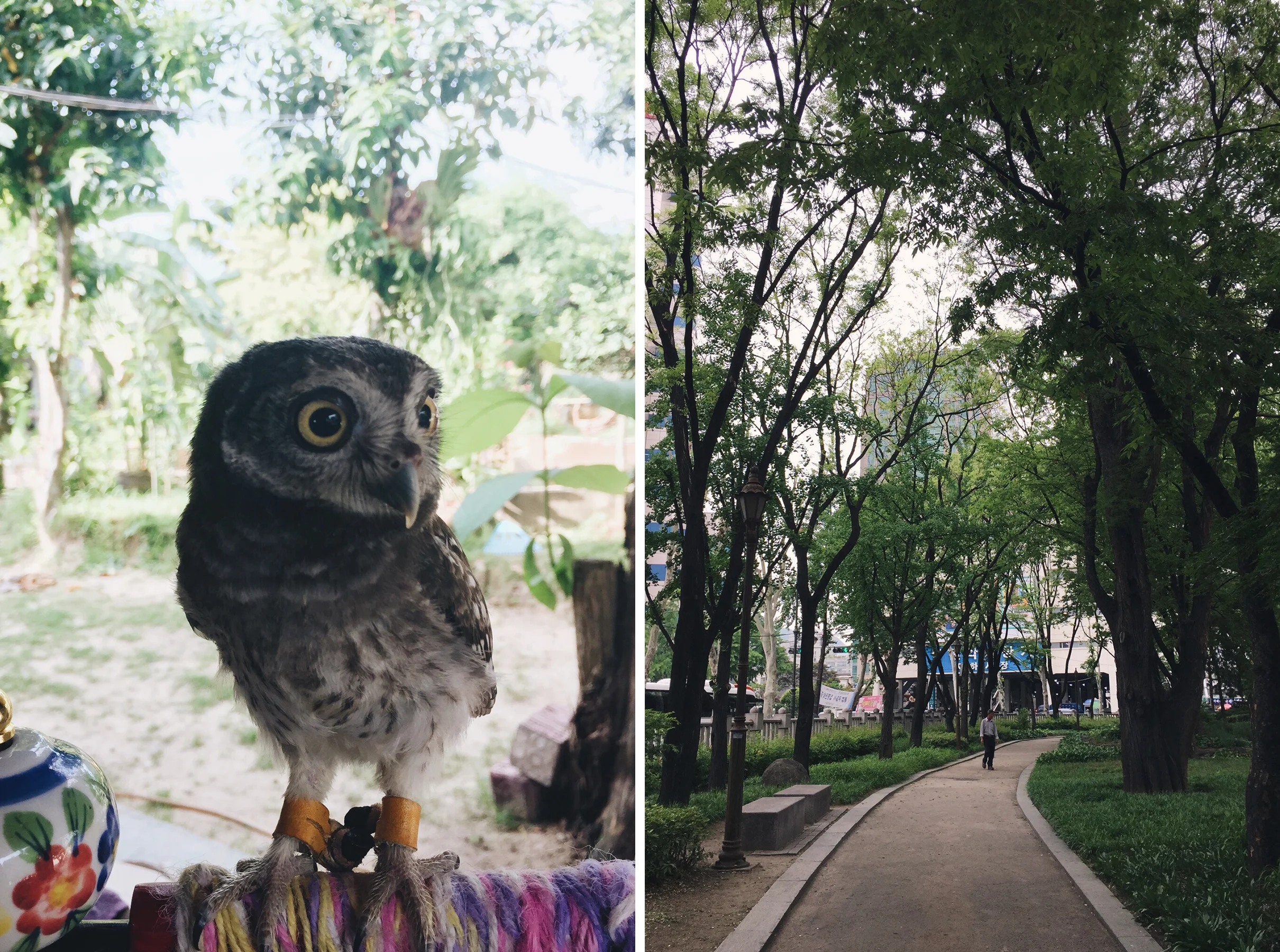 Koh Phangan, Thailand // Seoul, South Korea