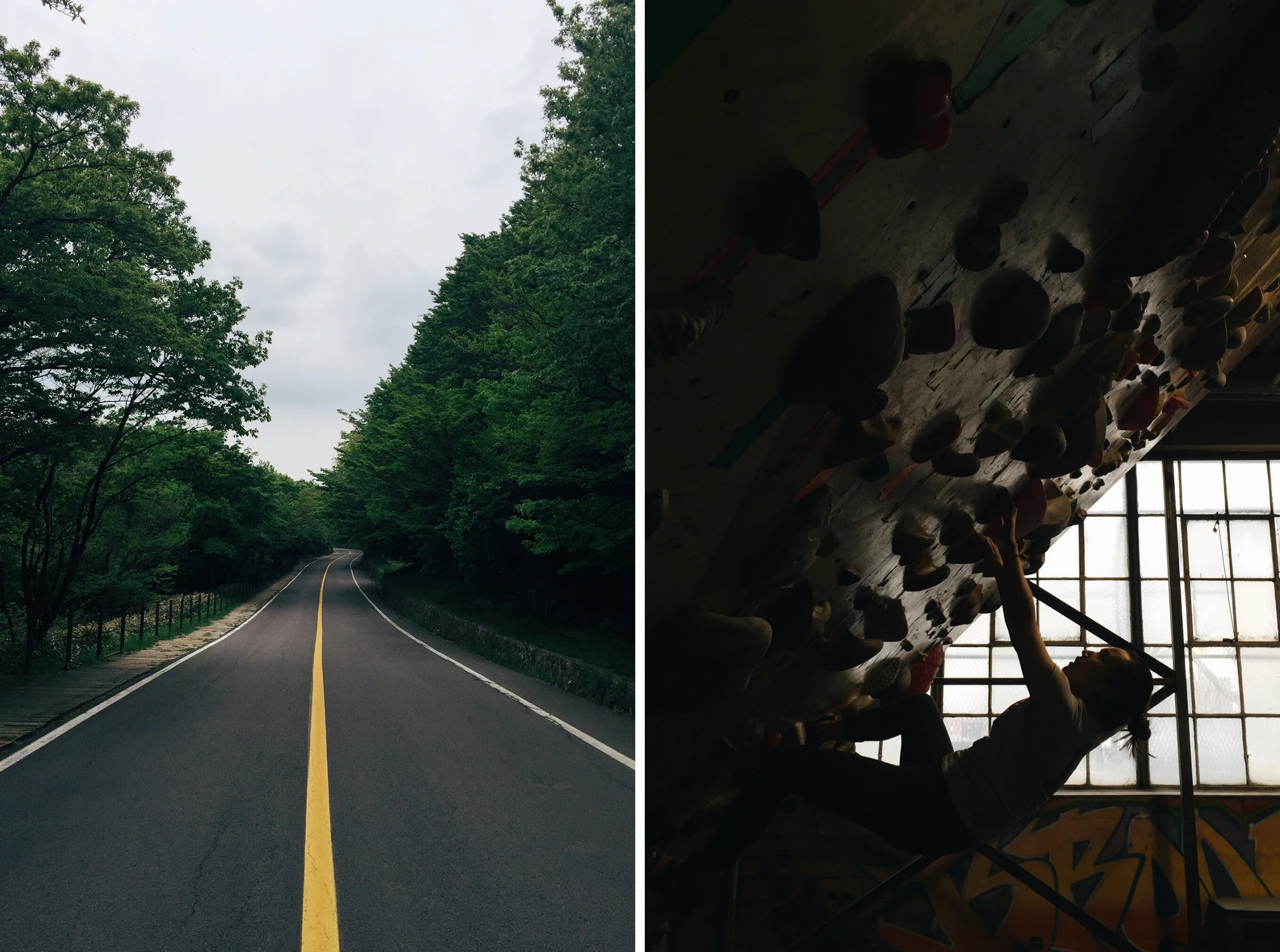 Jeju Island, South Korea // Brooklyn, New York