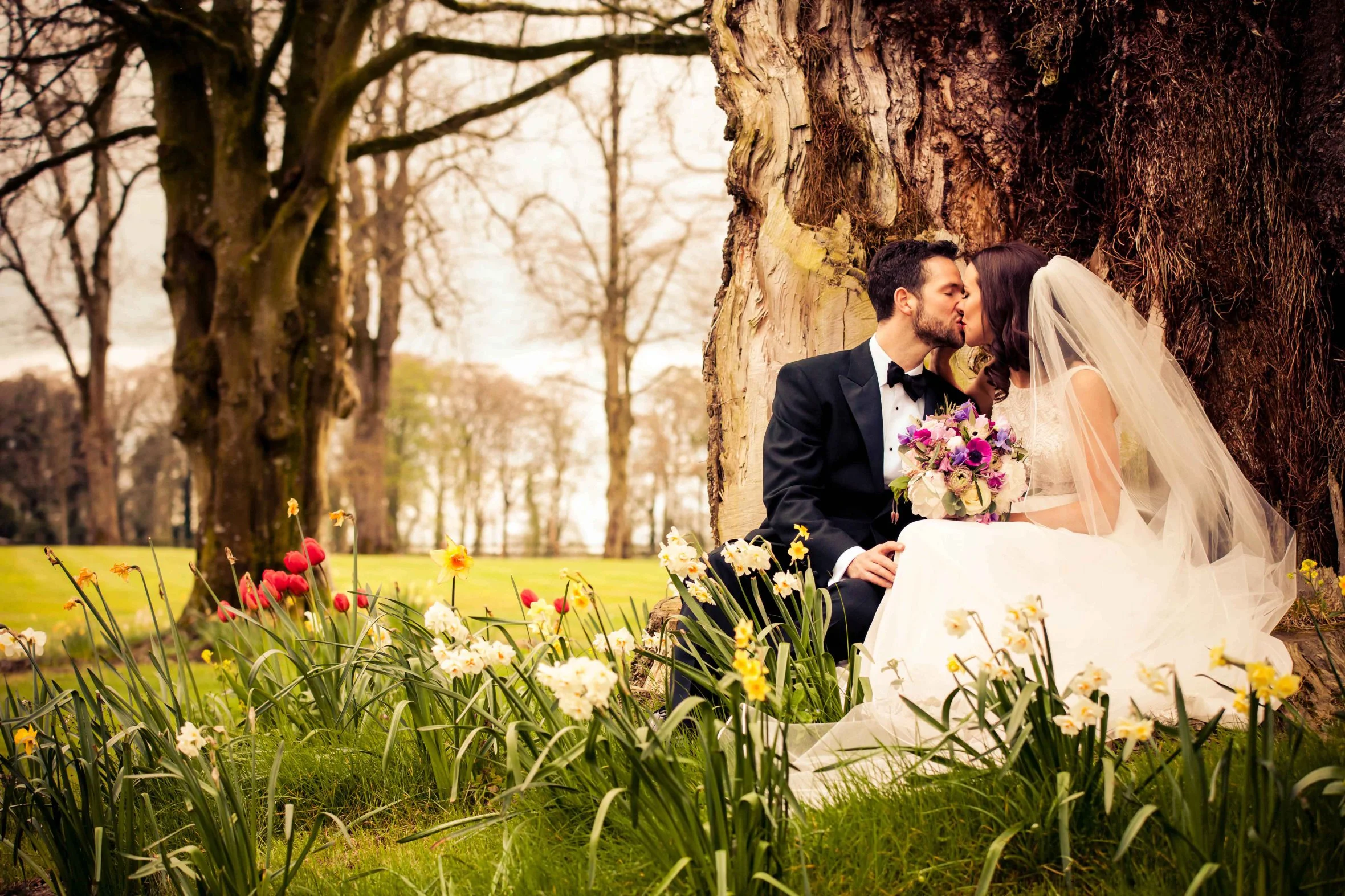 Wedding photography northern ireland