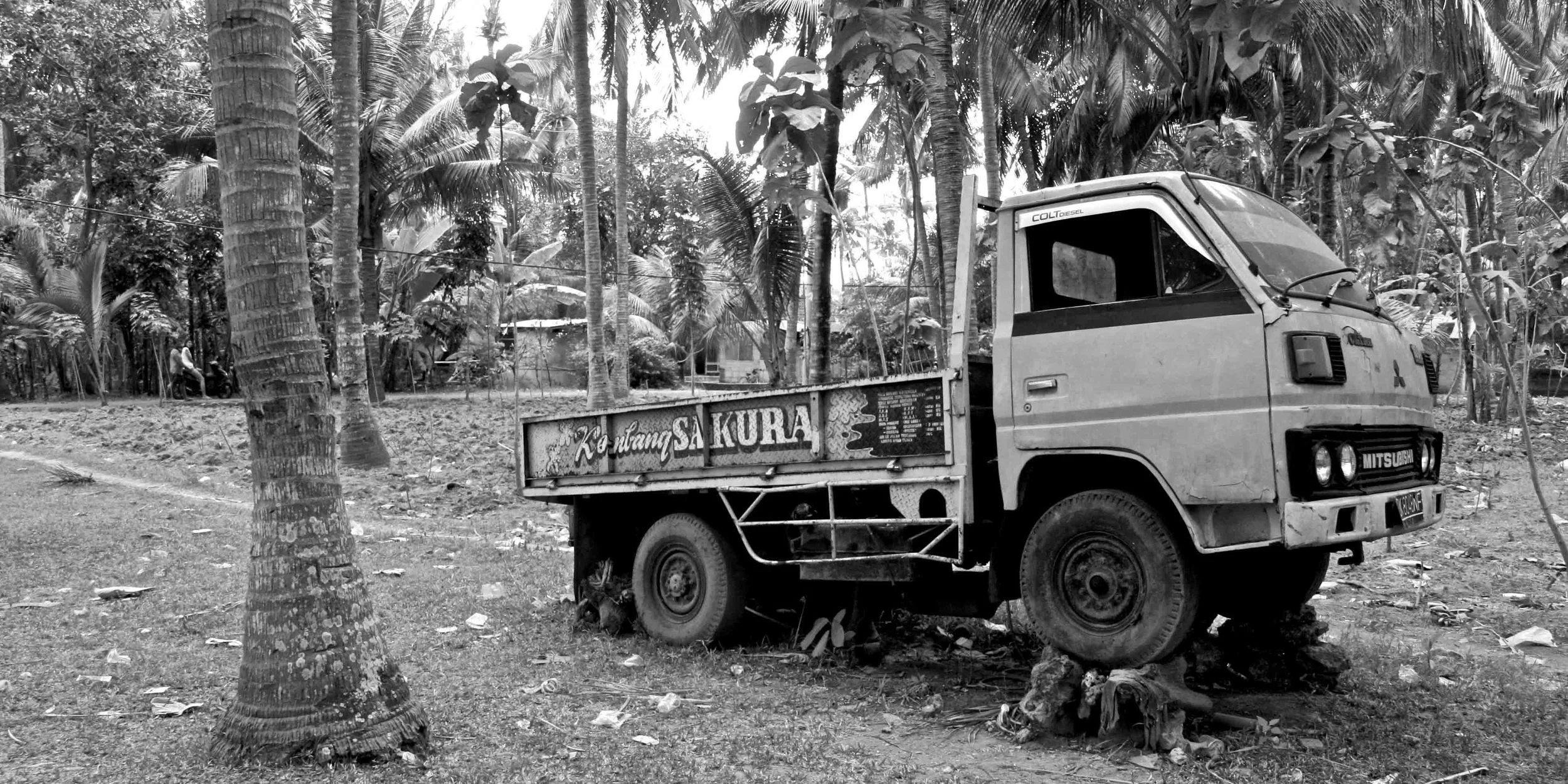BALI1.jpg