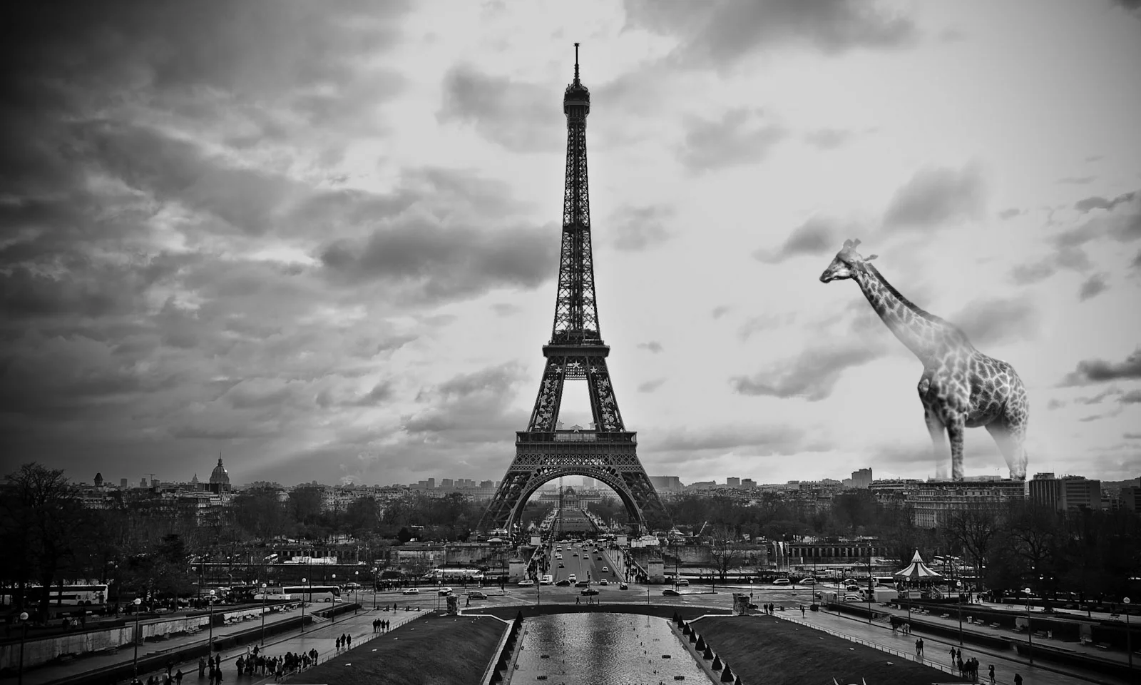 Paris-1 copy.jpg
