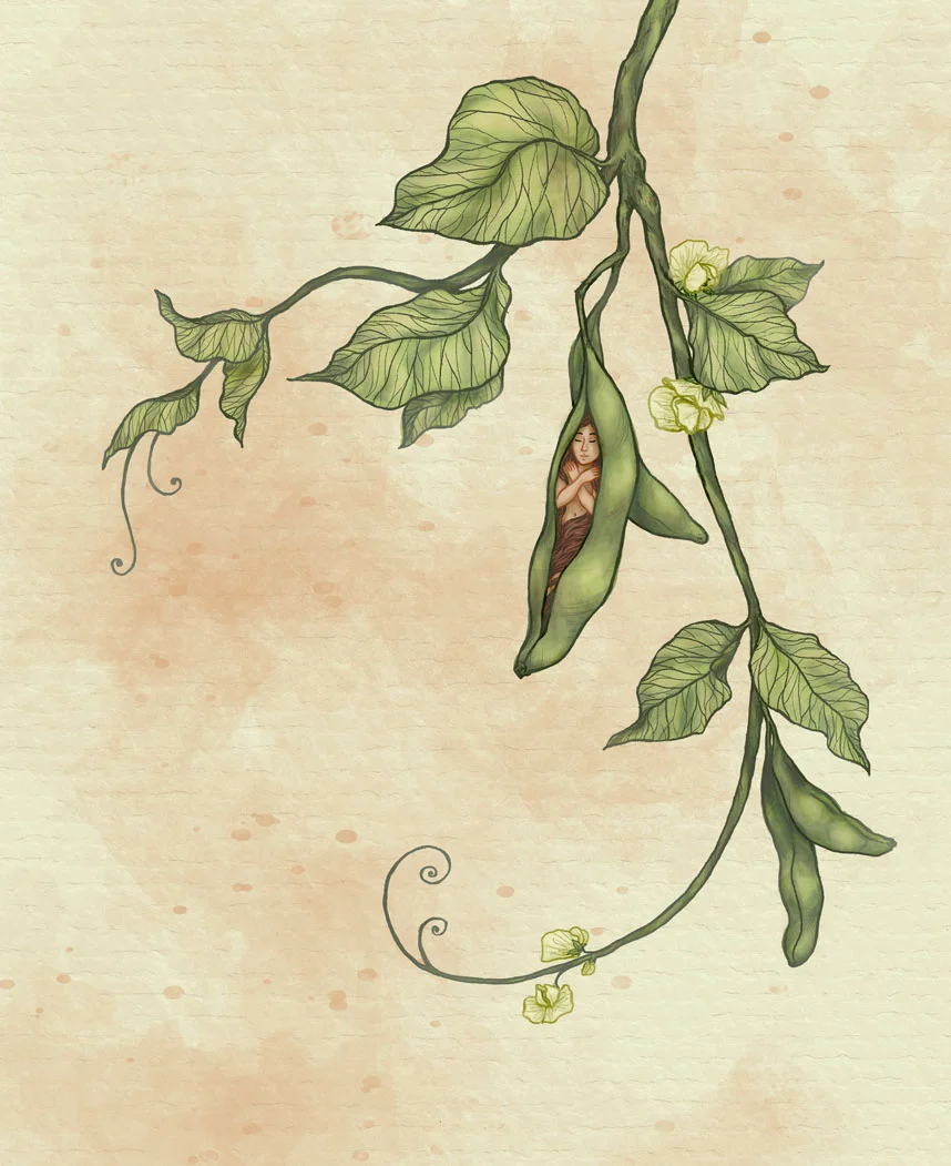  Little pea pod  2014 