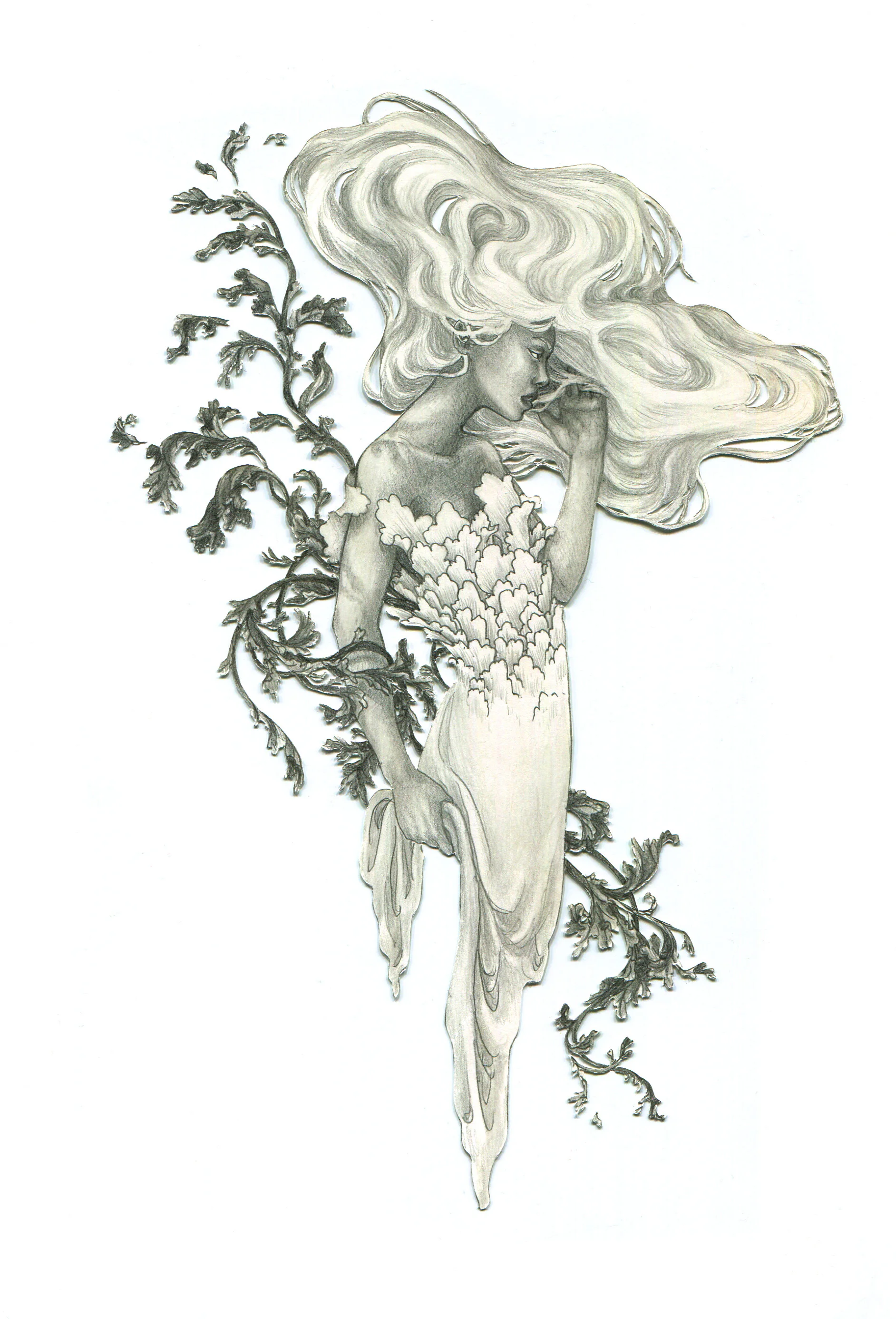 Scales