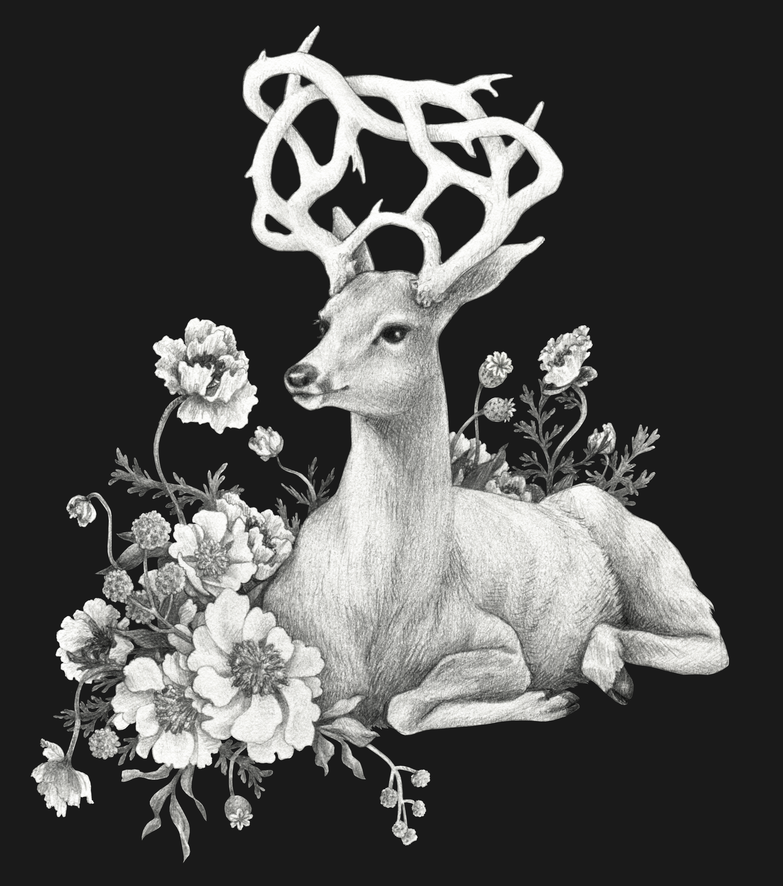 Floral Horn