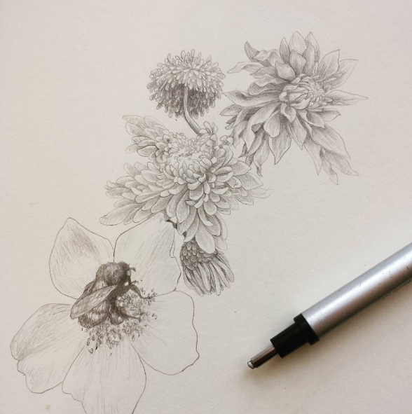 little blooms