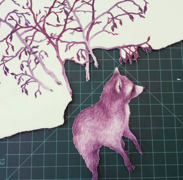 raccoon process