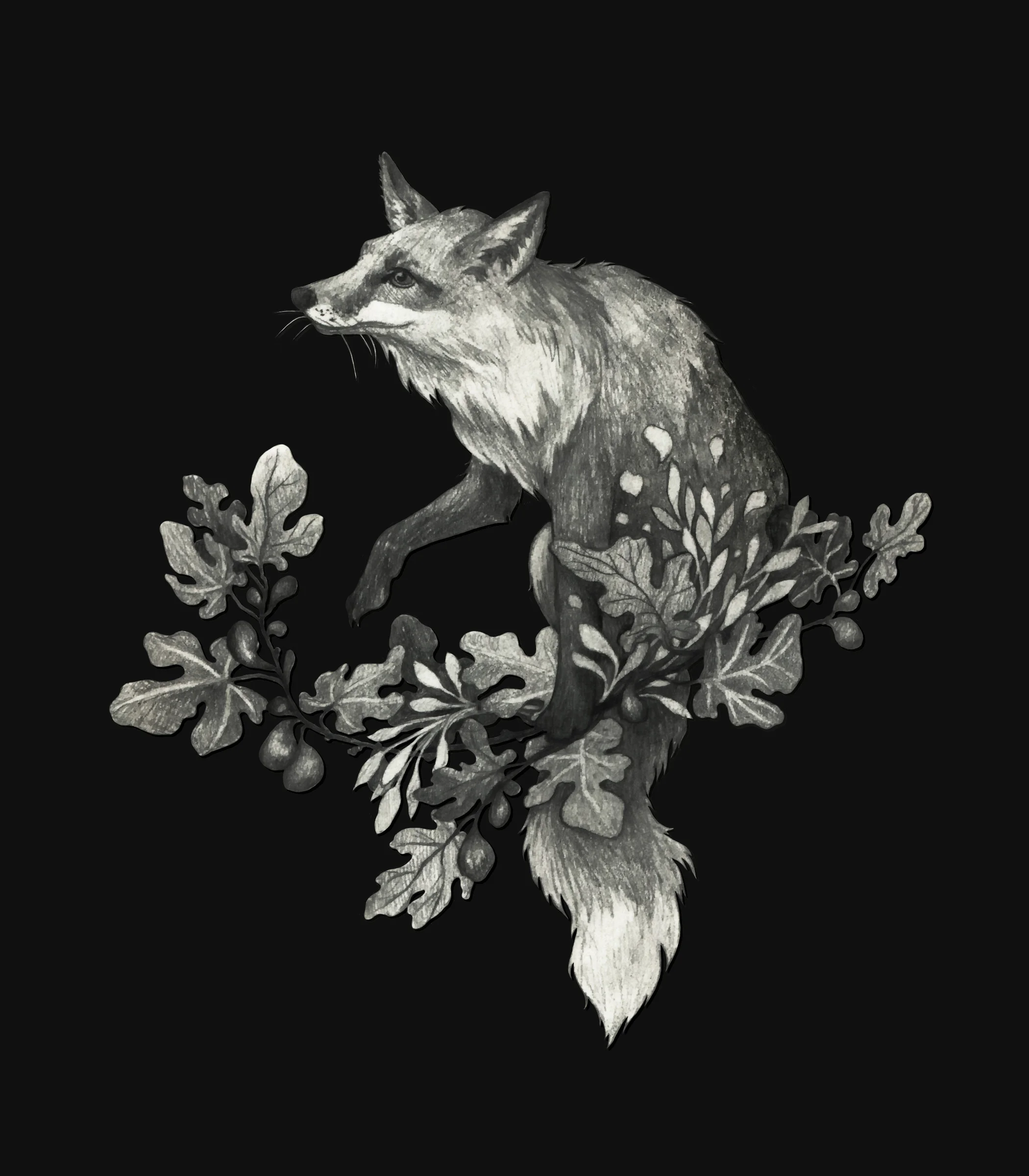 Fox on a Branch