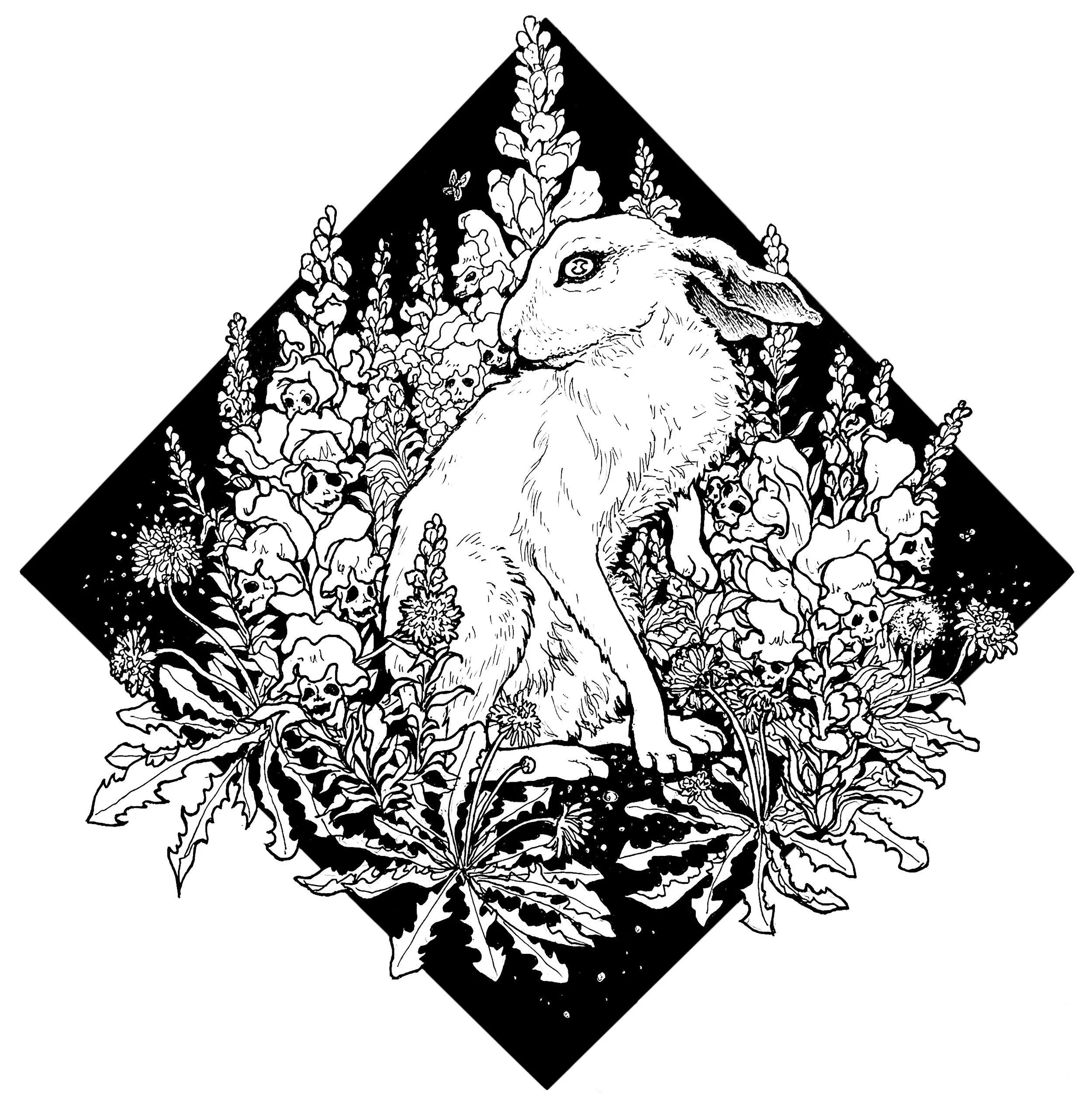 Snapdragon and the Hare