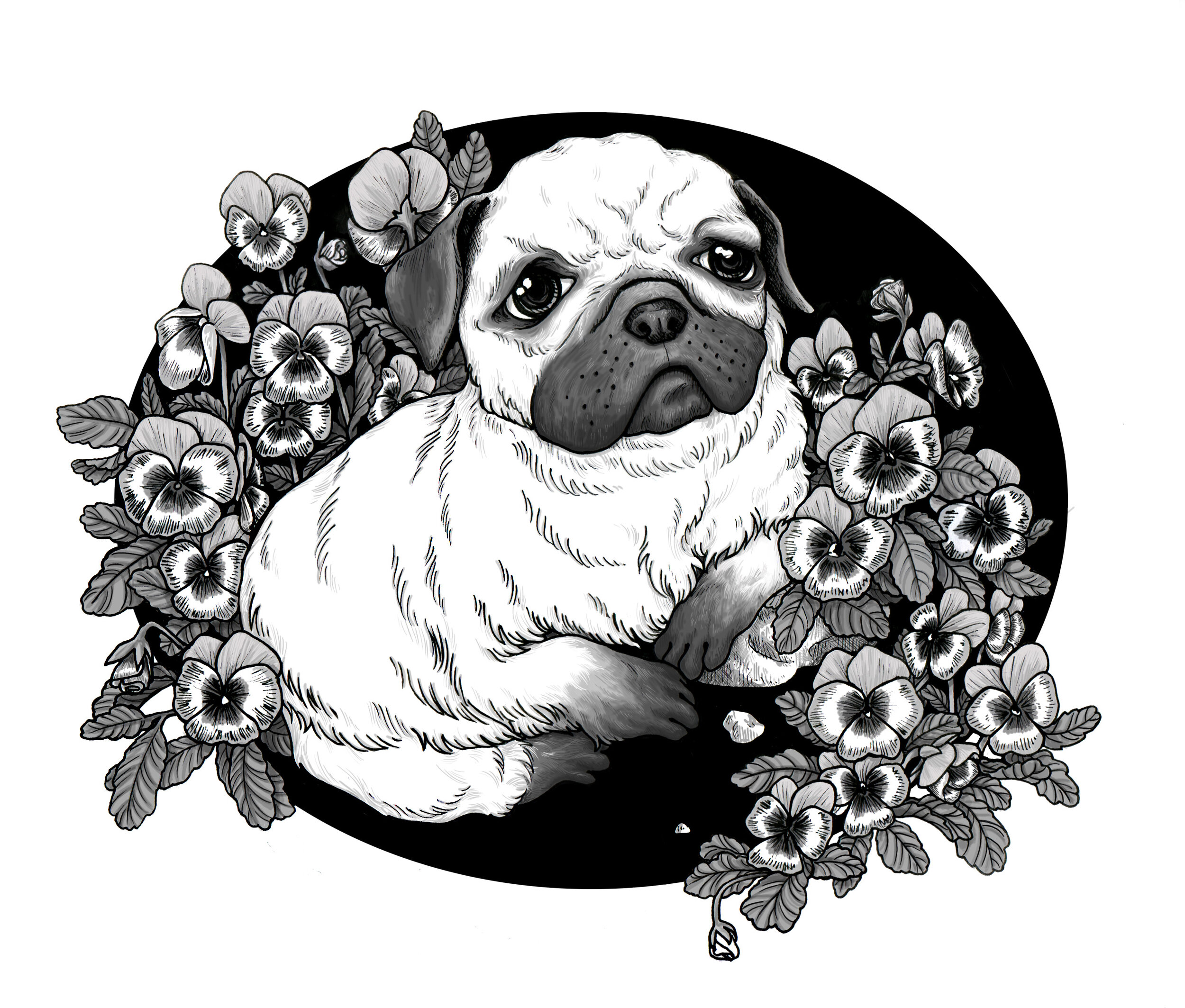 Pug And Pansy