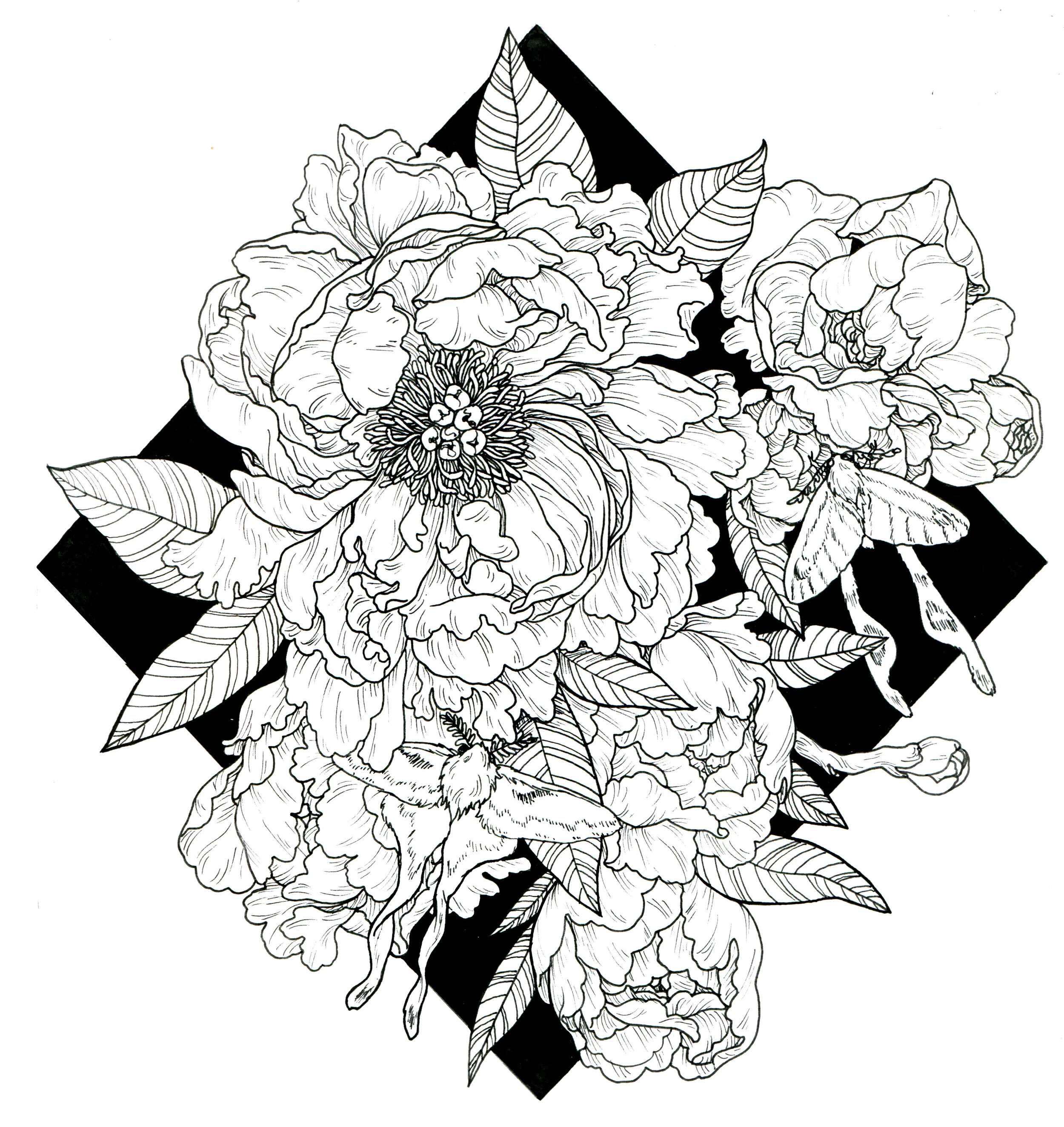 Peonies and Moths 