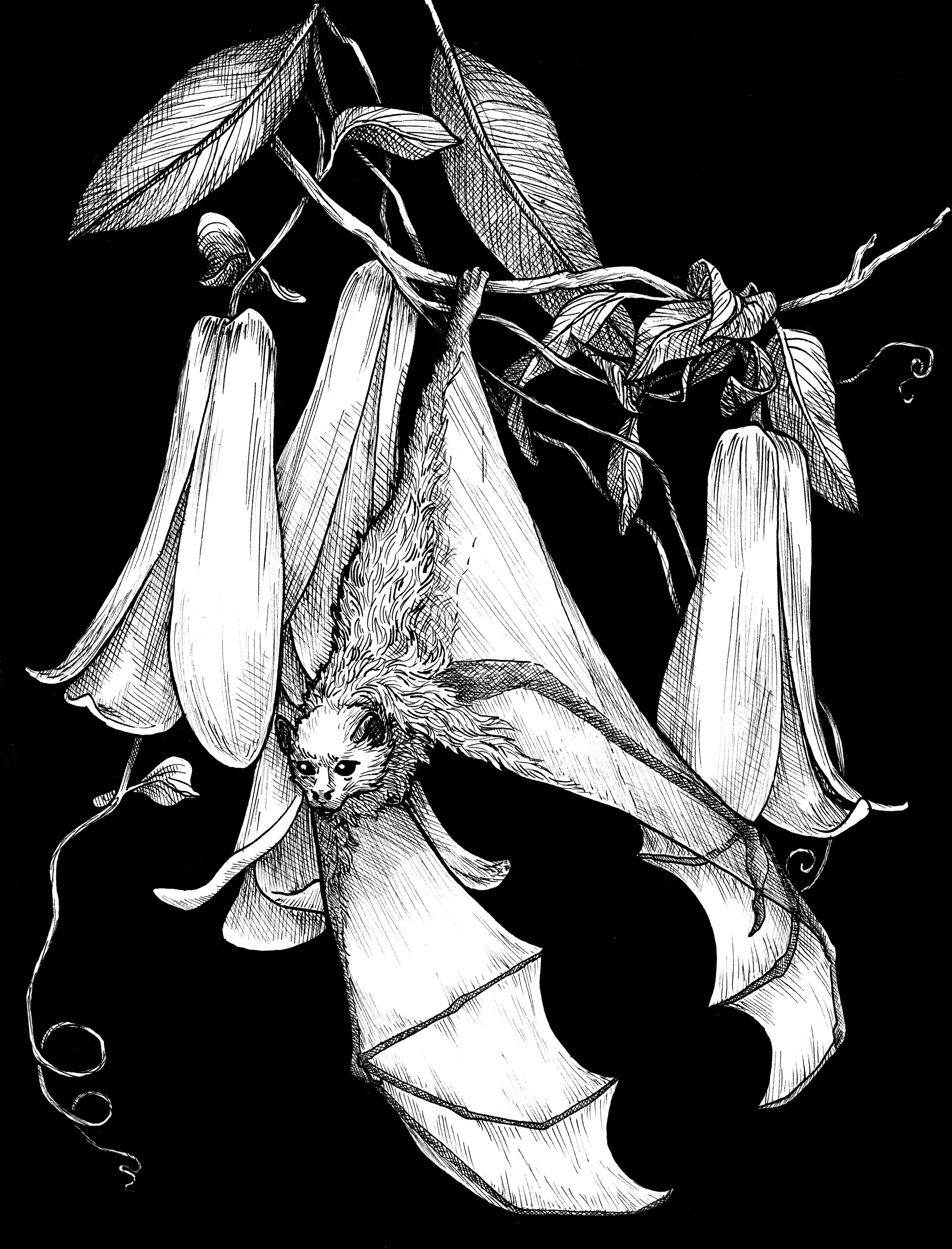 Bat and Brugmansia