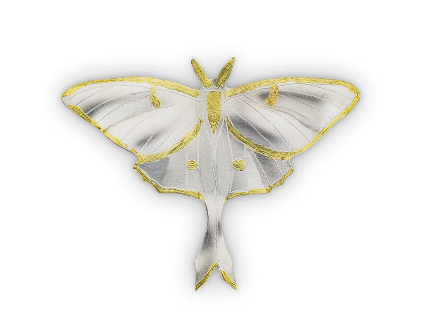 Luna Moth