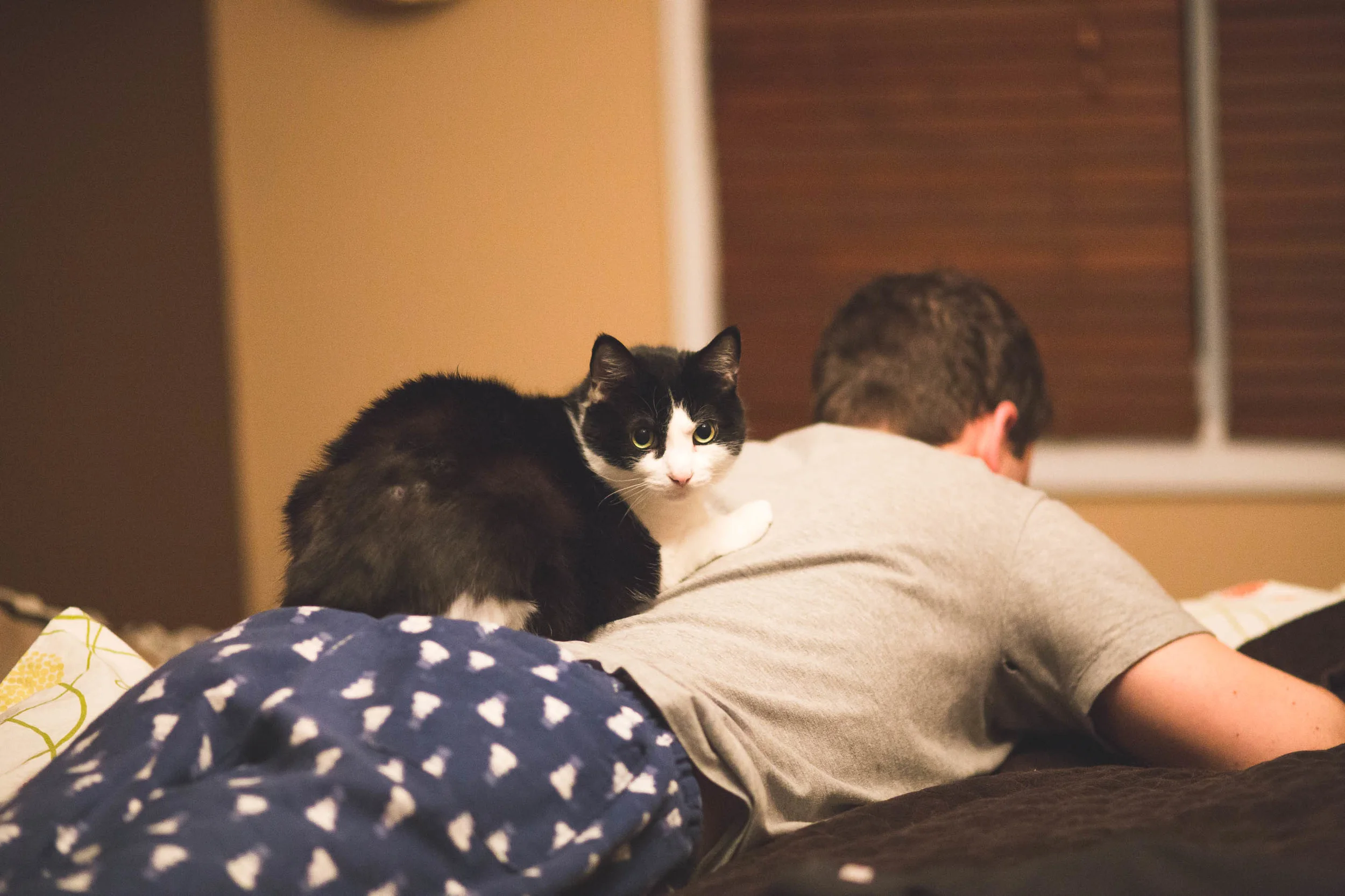 Tusker's favourite spot
