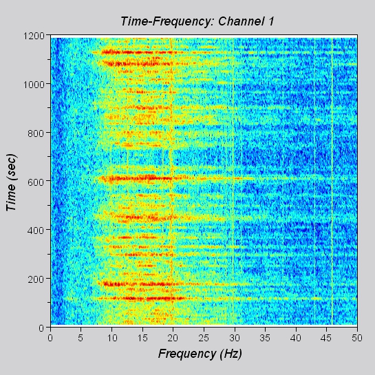 time freq.jpg