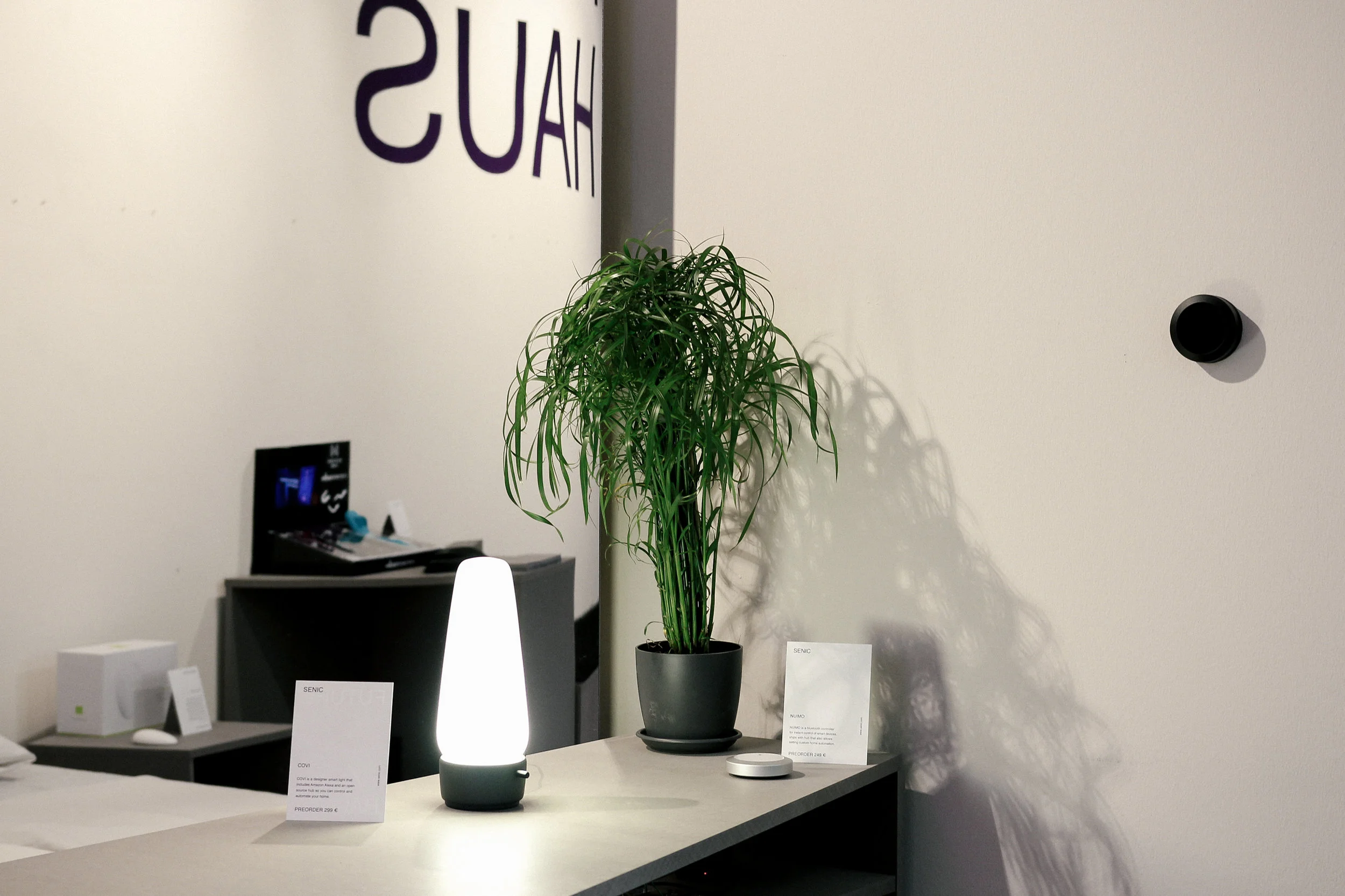 Future Haus Teshia Treuhaft