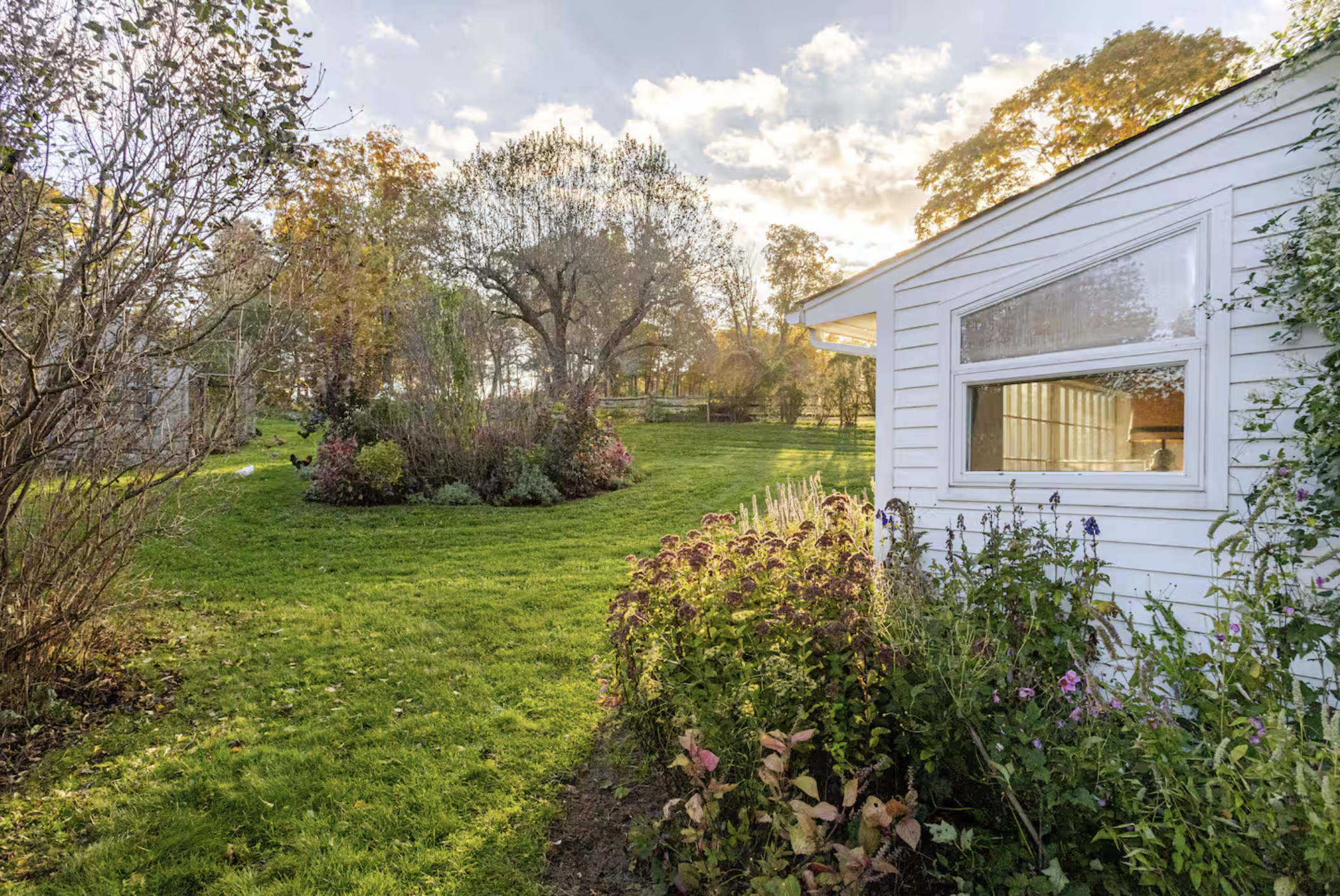 Screenshot 2026-01-20 at 5.25.11 PM.png