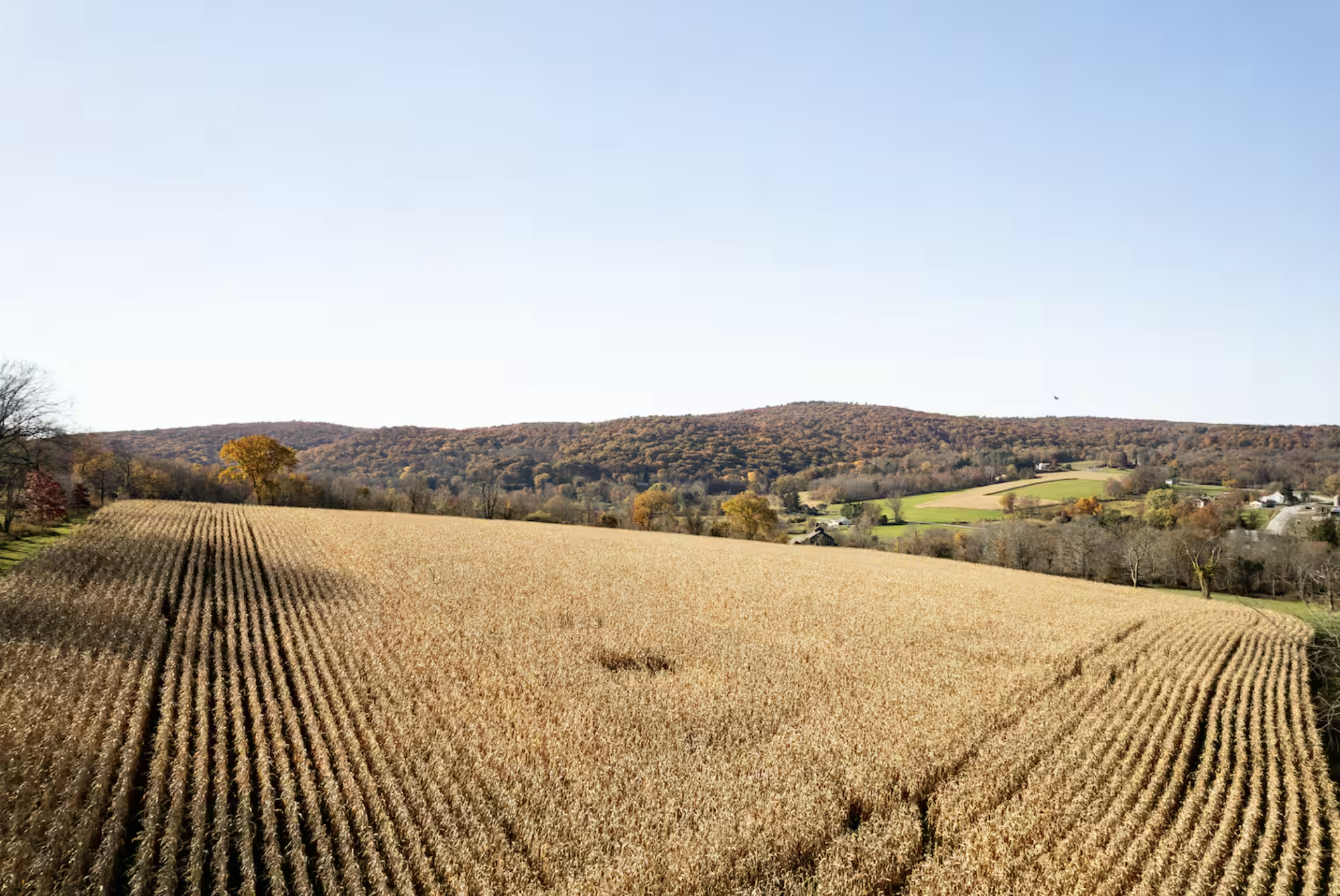 Screenshot 2026-01-20 at 5.26.08 PM.png