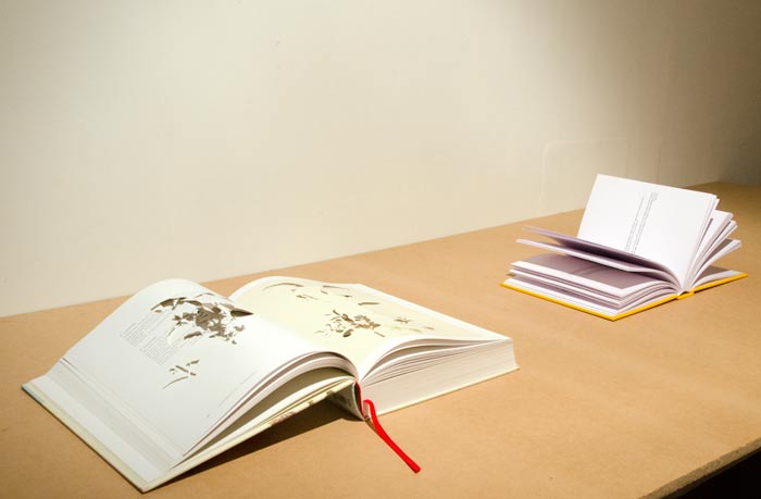 Sound and Vision
(Books and Sound Work, 2013)