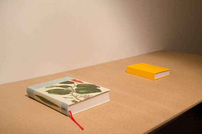 Sound and Vision
(Books and Sound Work, 2013)