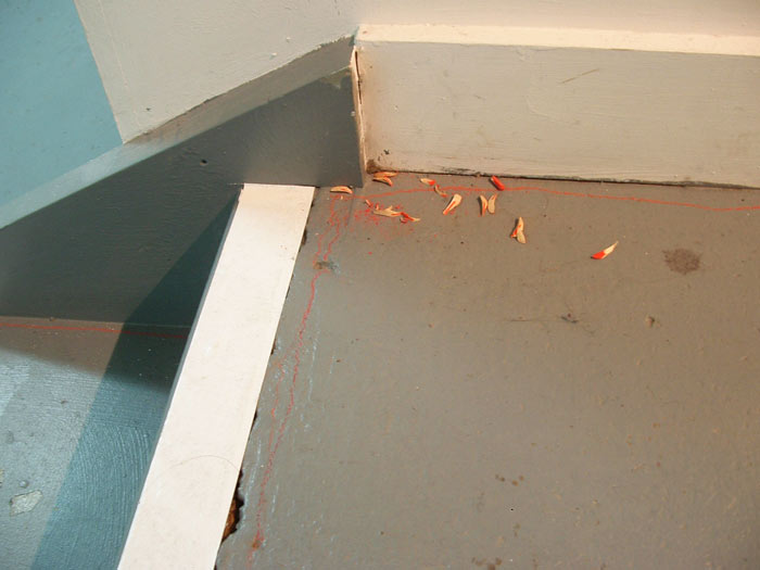 gabrielle_amodeo_a_chronological_manor_2_9.jpg