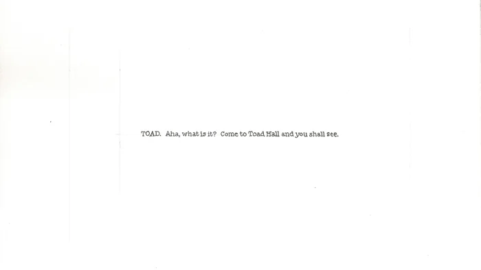 gabrielle_amodeo_toad_2.jpg