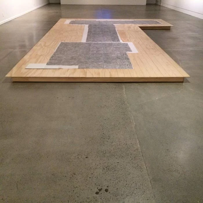 gabrielle_amodeo_suburban_dreams_dowse_art_museum.jpg