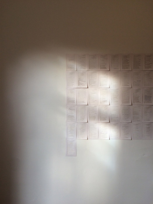 Takes the Skull (installation view) copies of Hamlet with artist intervention 2016