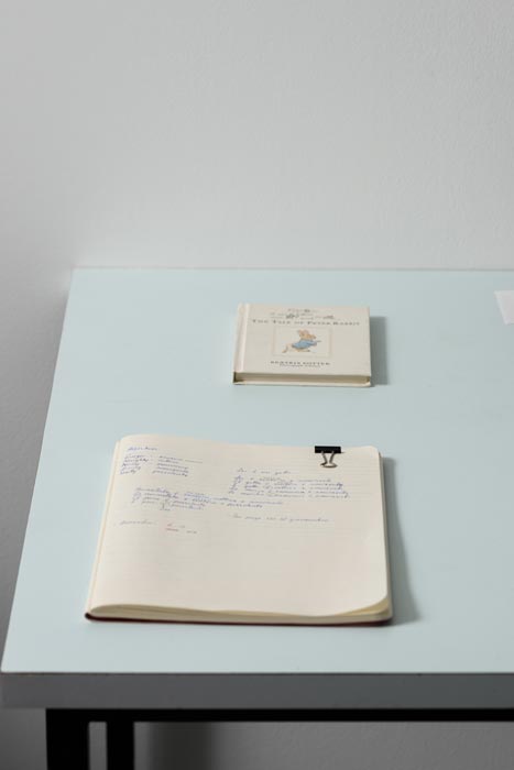 gabrielle_amodeo_past_repeating_last_five_walls_conceptual_intimacy_7.jpg