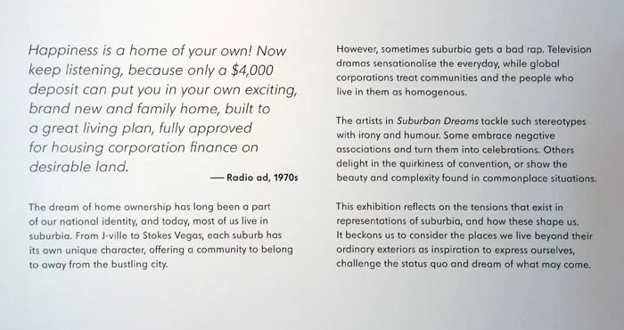 gabrielle_amodeo_dowse_suburban_dreams_wall_text.jpg