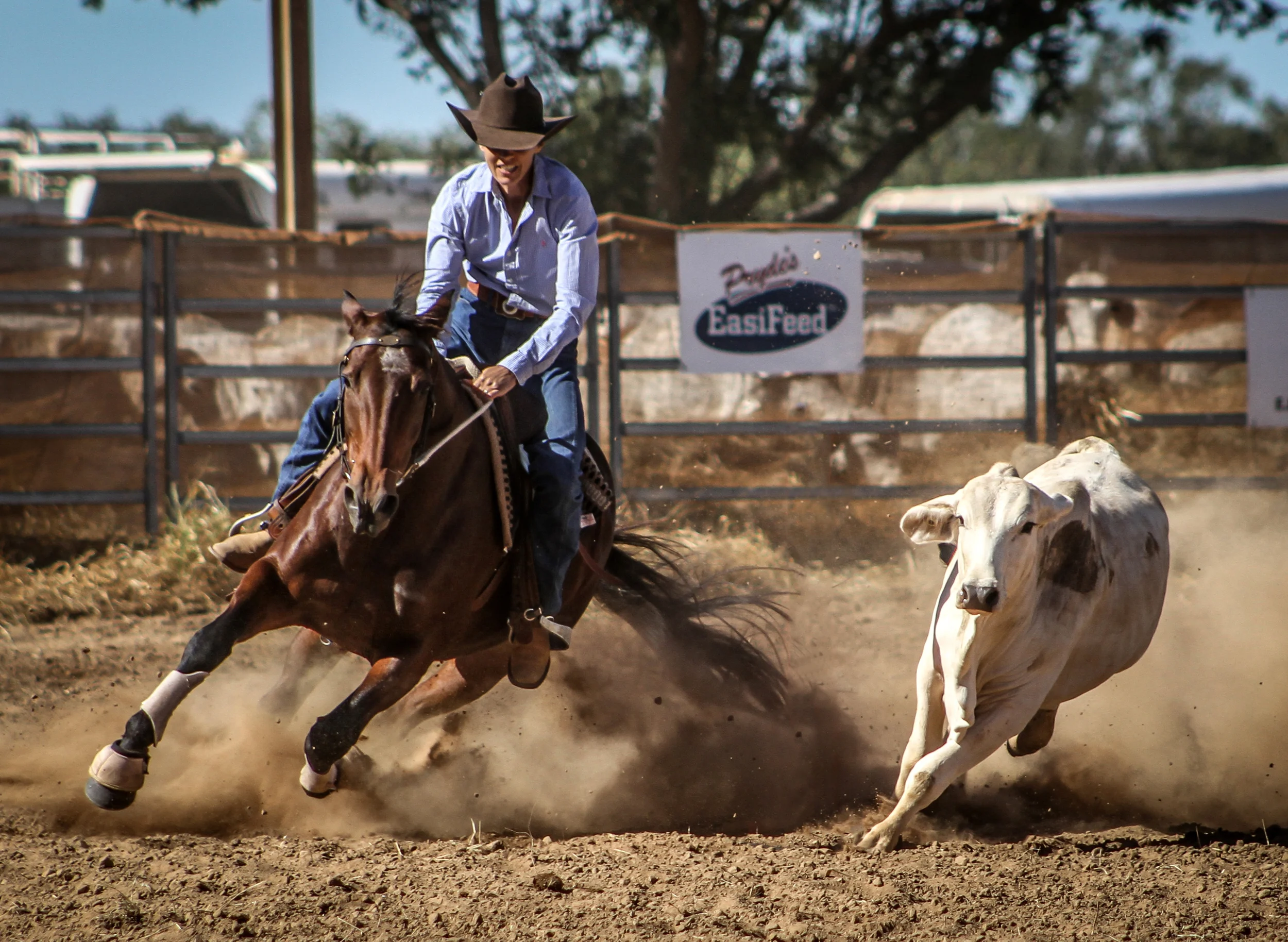 Cristina Jones riding Hazelwood Nitrogen in the Maiden Draft of the 2013 Katherine ASH Campdraft