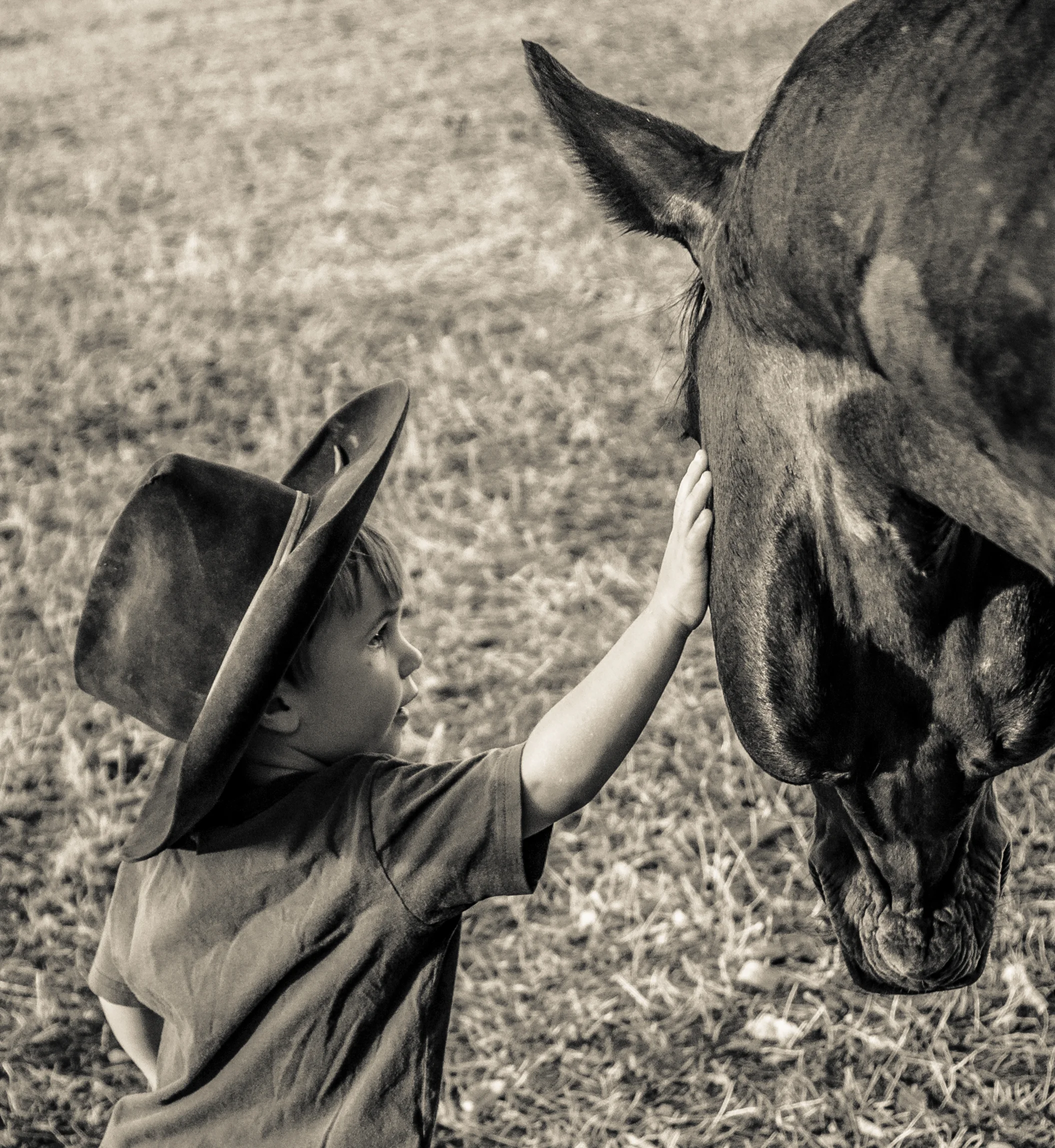 Jack Jones and Jayar Hobo - HSH