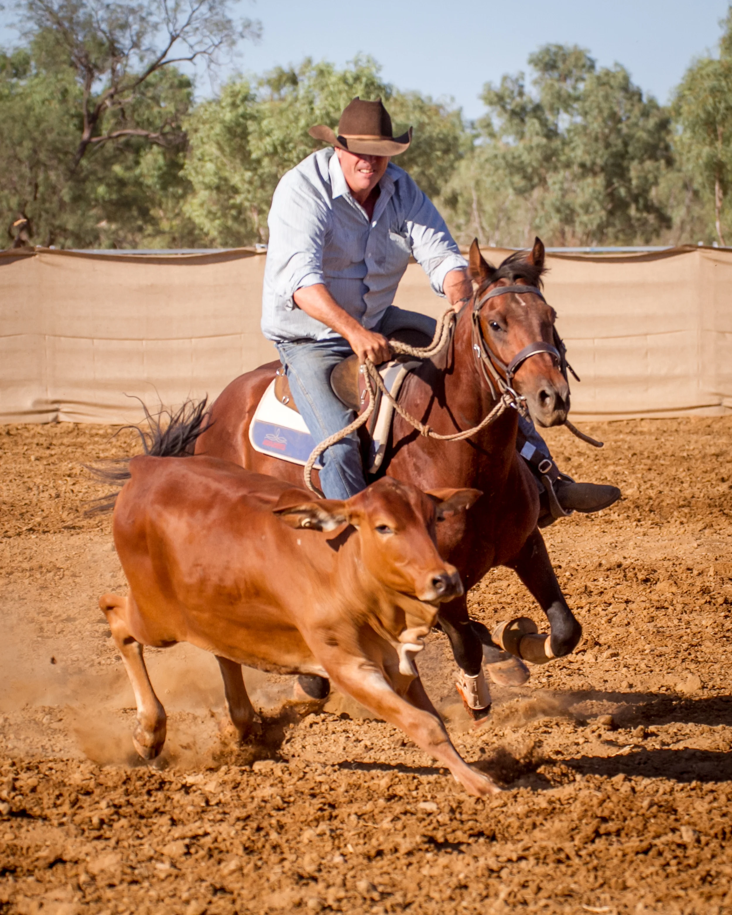 Cameron Rasheed and Hazaction Bonaparte at Yelvertoft Campdraft, 2015.