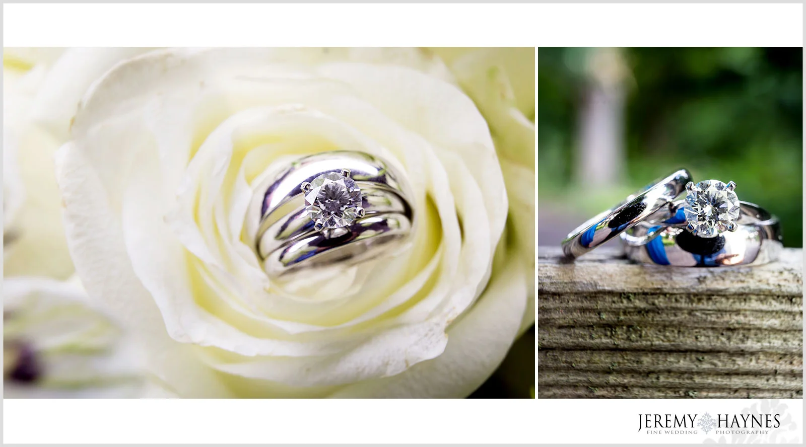 37 Indianapolis Art Center Indianapolis, IN Wedding Rings Photos.jpg