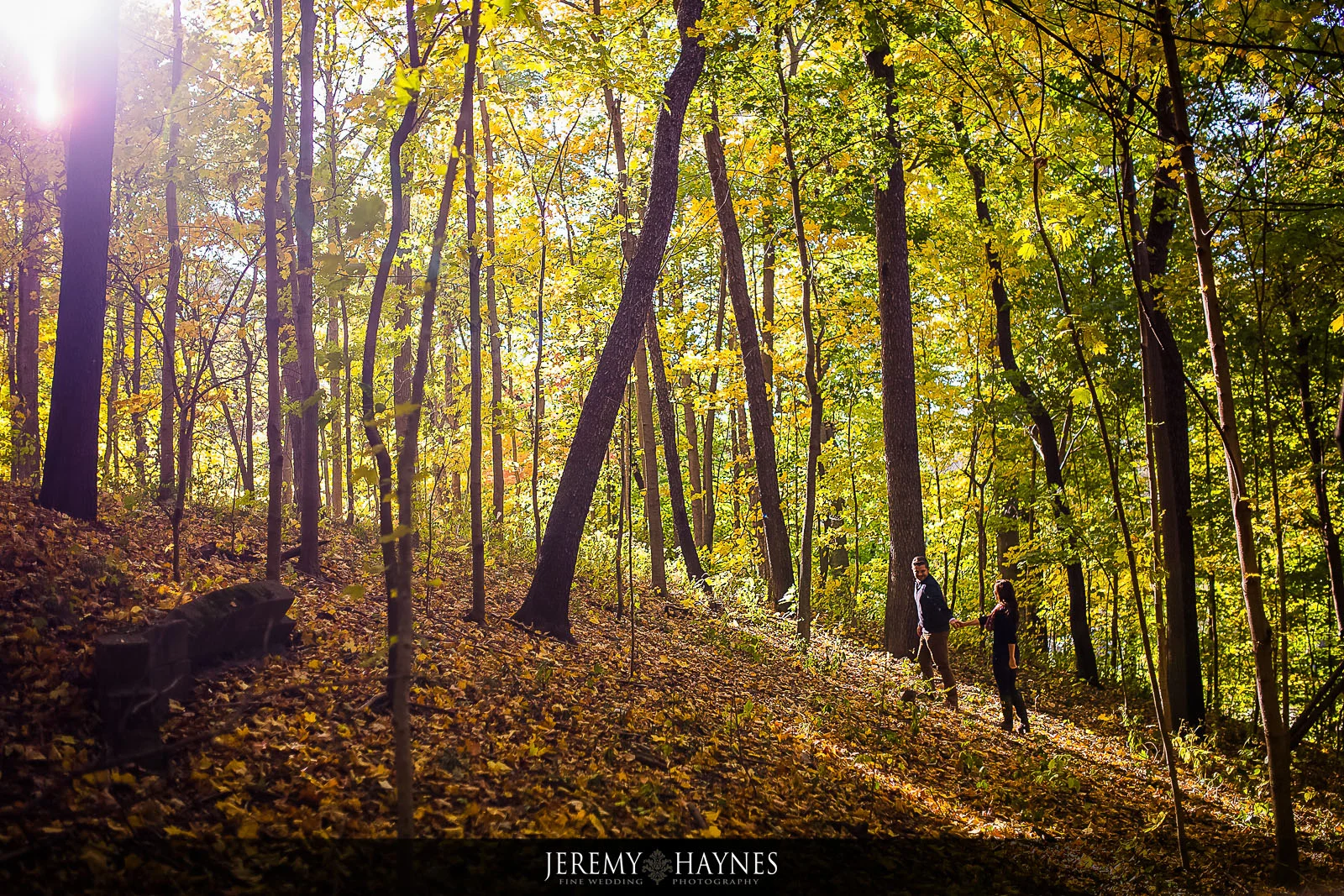 indianapolis-engagement-ideas