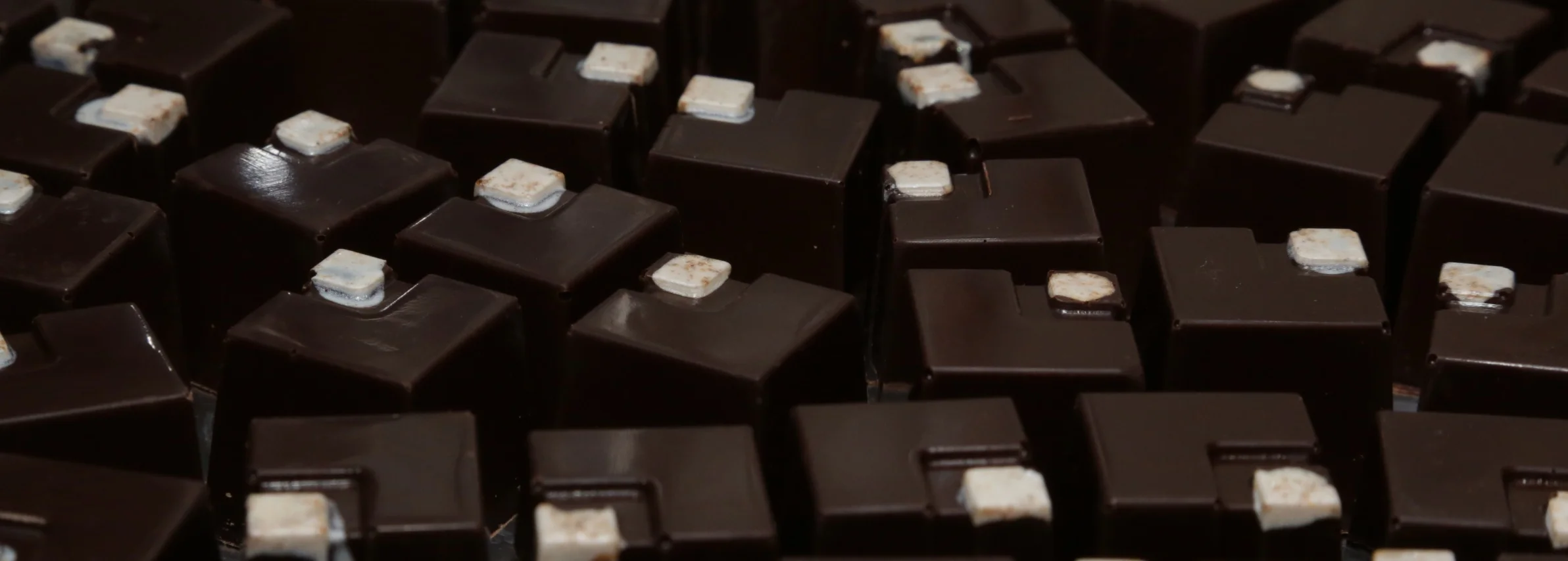 The cinnamon starts you off and cayenne pepper finishes the Aztec Heat Truffle experience. 
