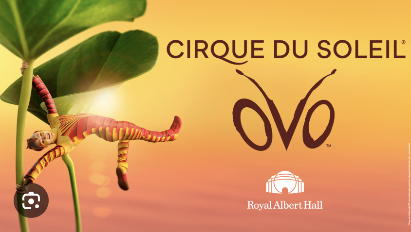 Cirque du Soleil OVO